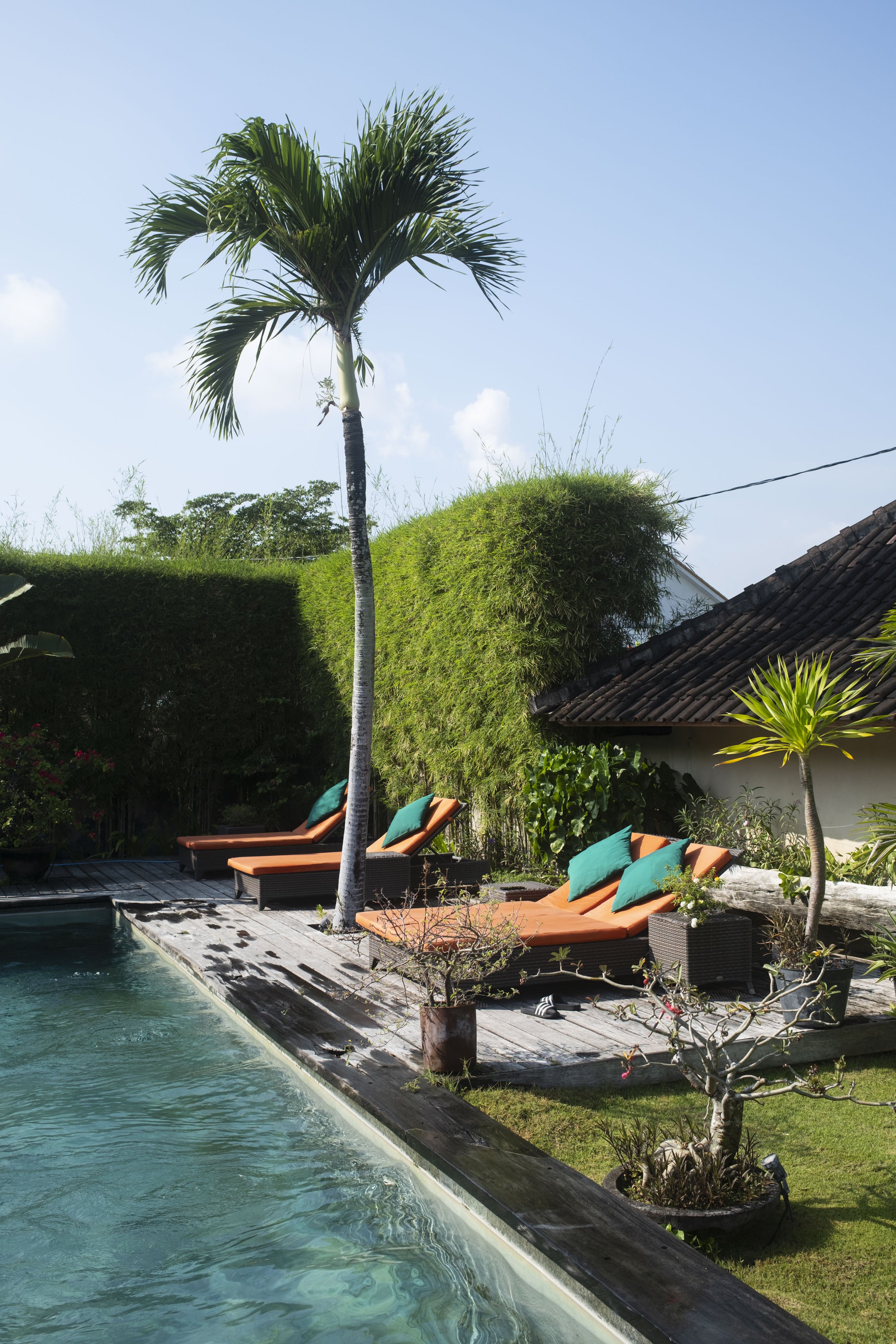Bali 2025 Fuji_156.jpg