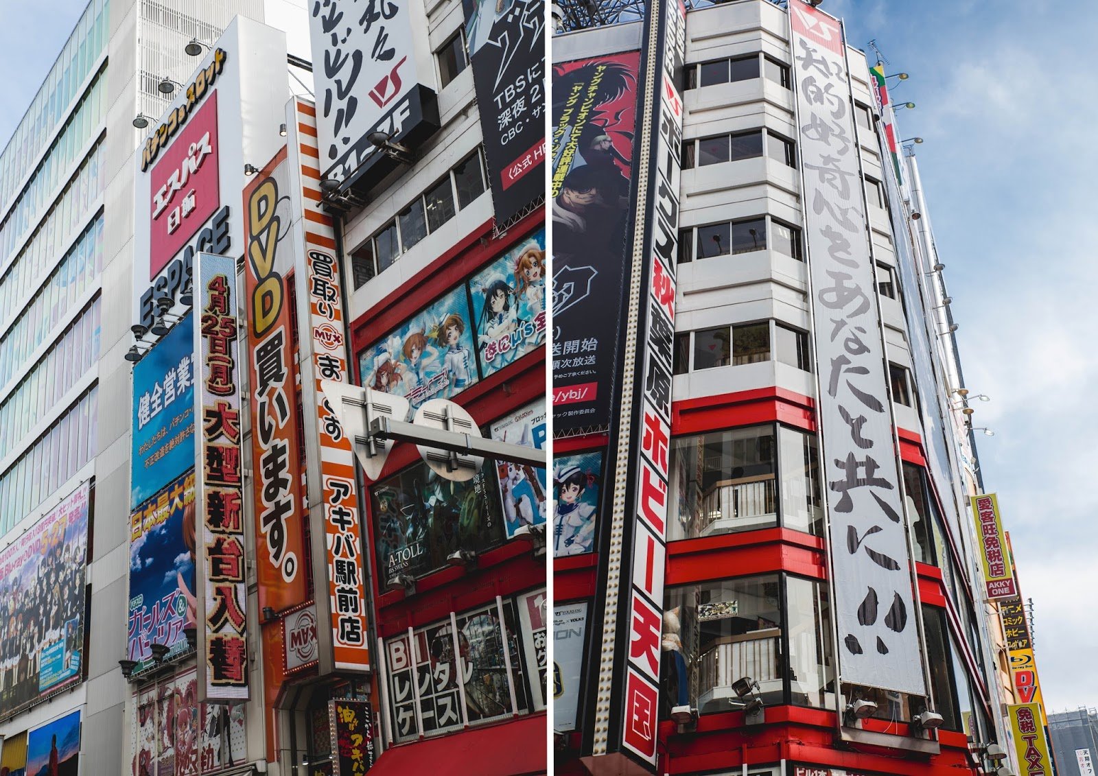akihabara 2.jpeg