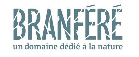 Branféré