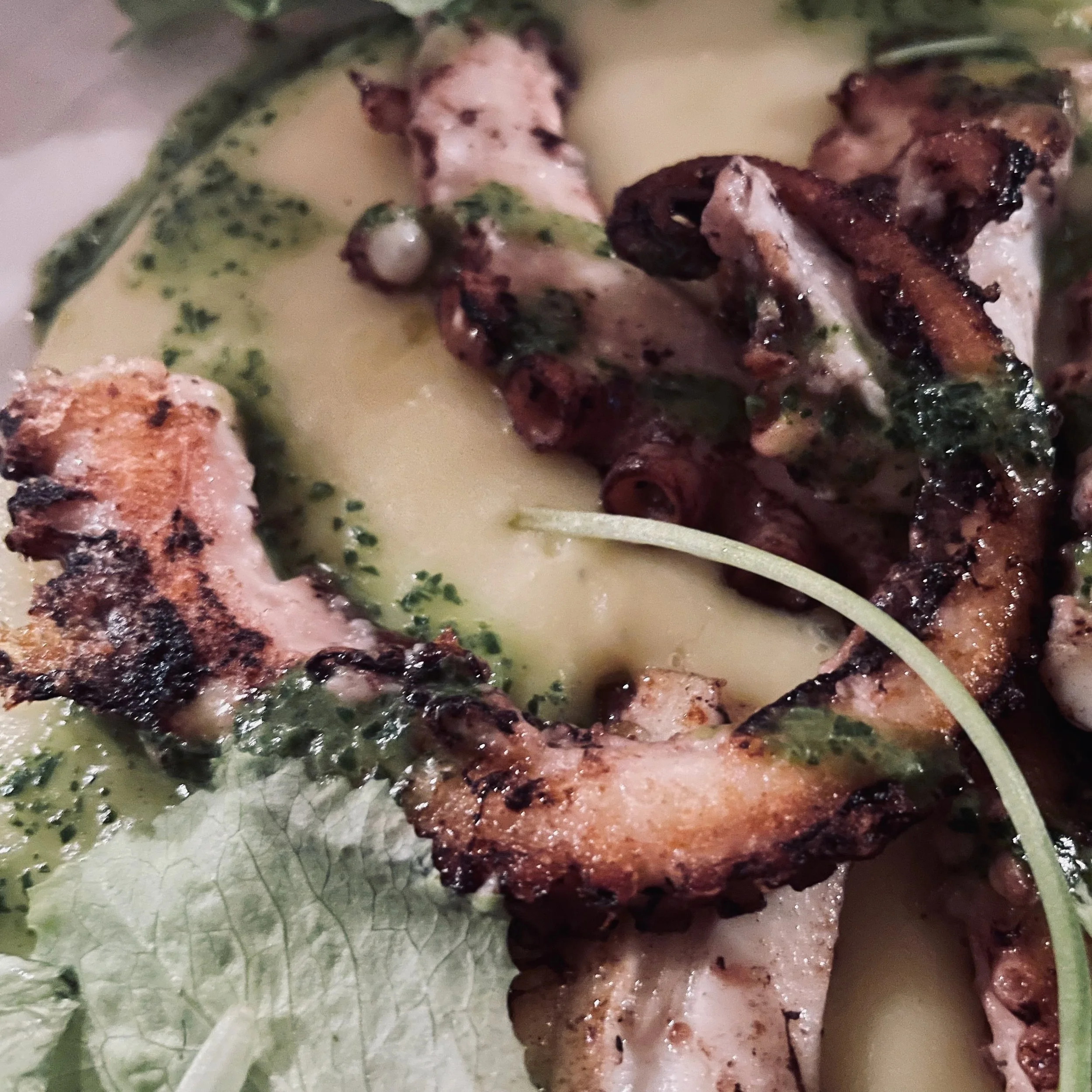 Grilled octopus with green herb sauce served with greens and creamy sauce