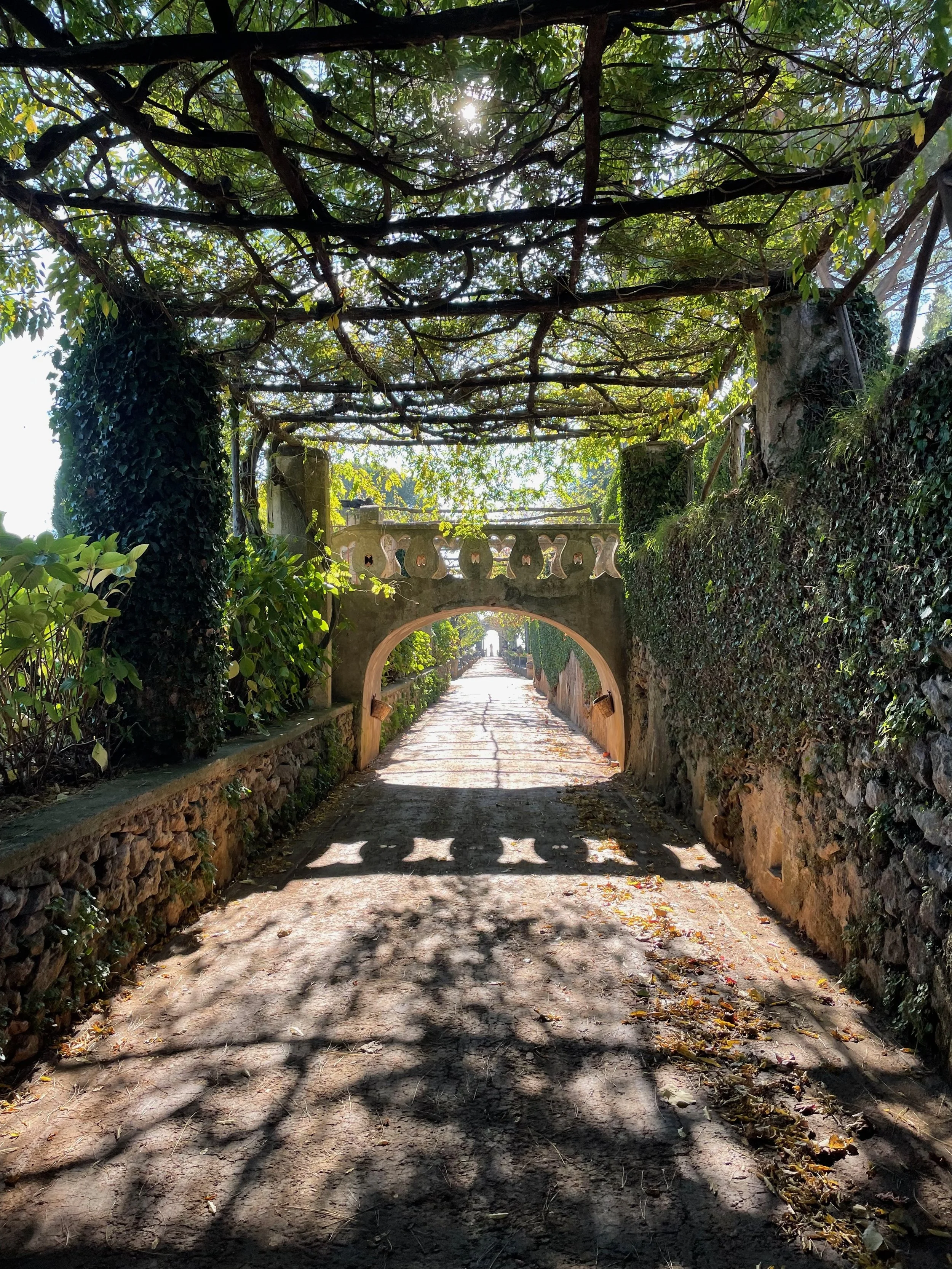 A shaded pathway leading through a stone archway, surrounded by lush greenery and intertwined branches overhead, casting shadows on the ground.