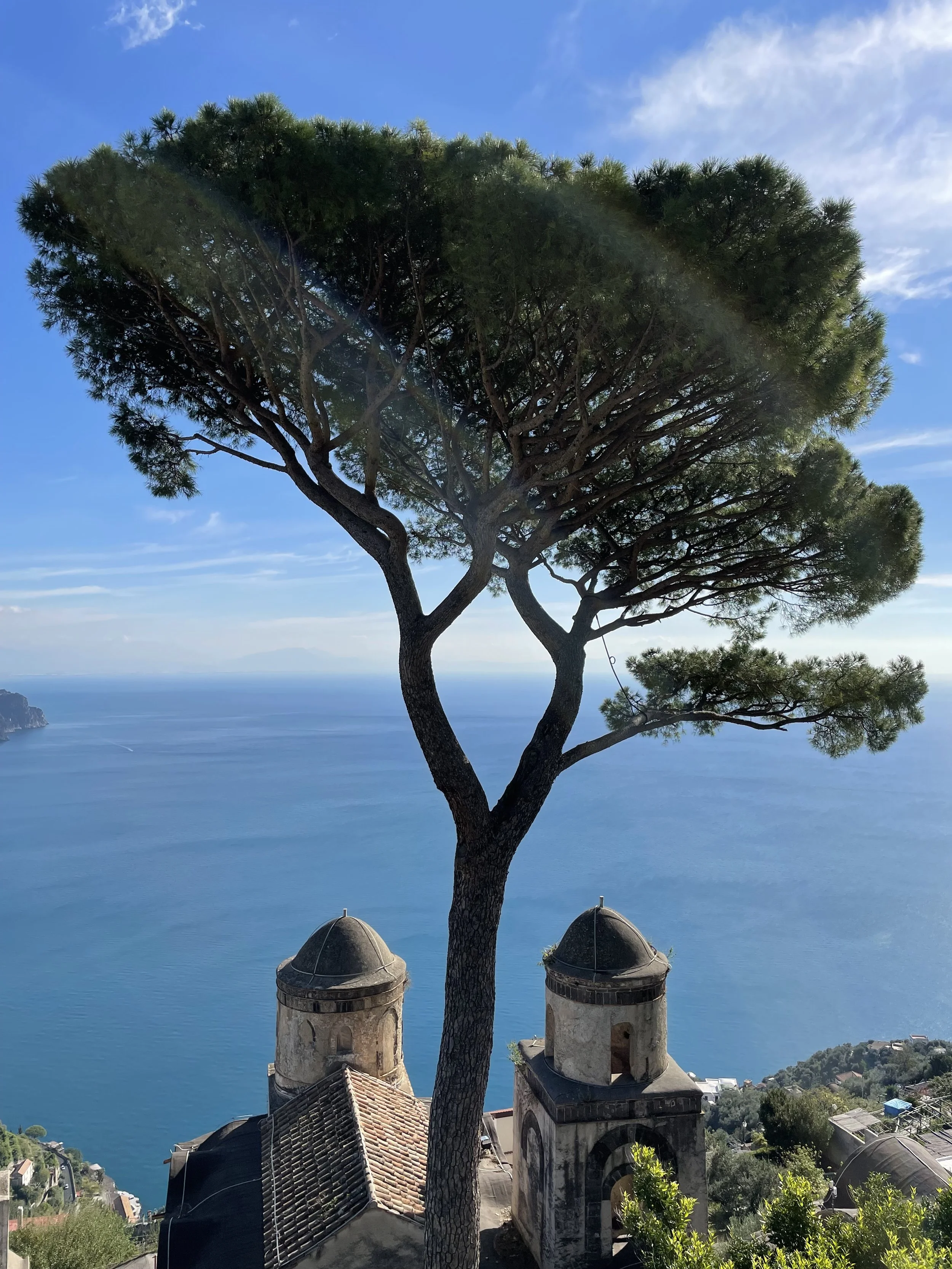 A tall pine tree growing above a historic building with two small towers, overlooking a blue ocean with mountains in the distance under a partly cloudy sky.