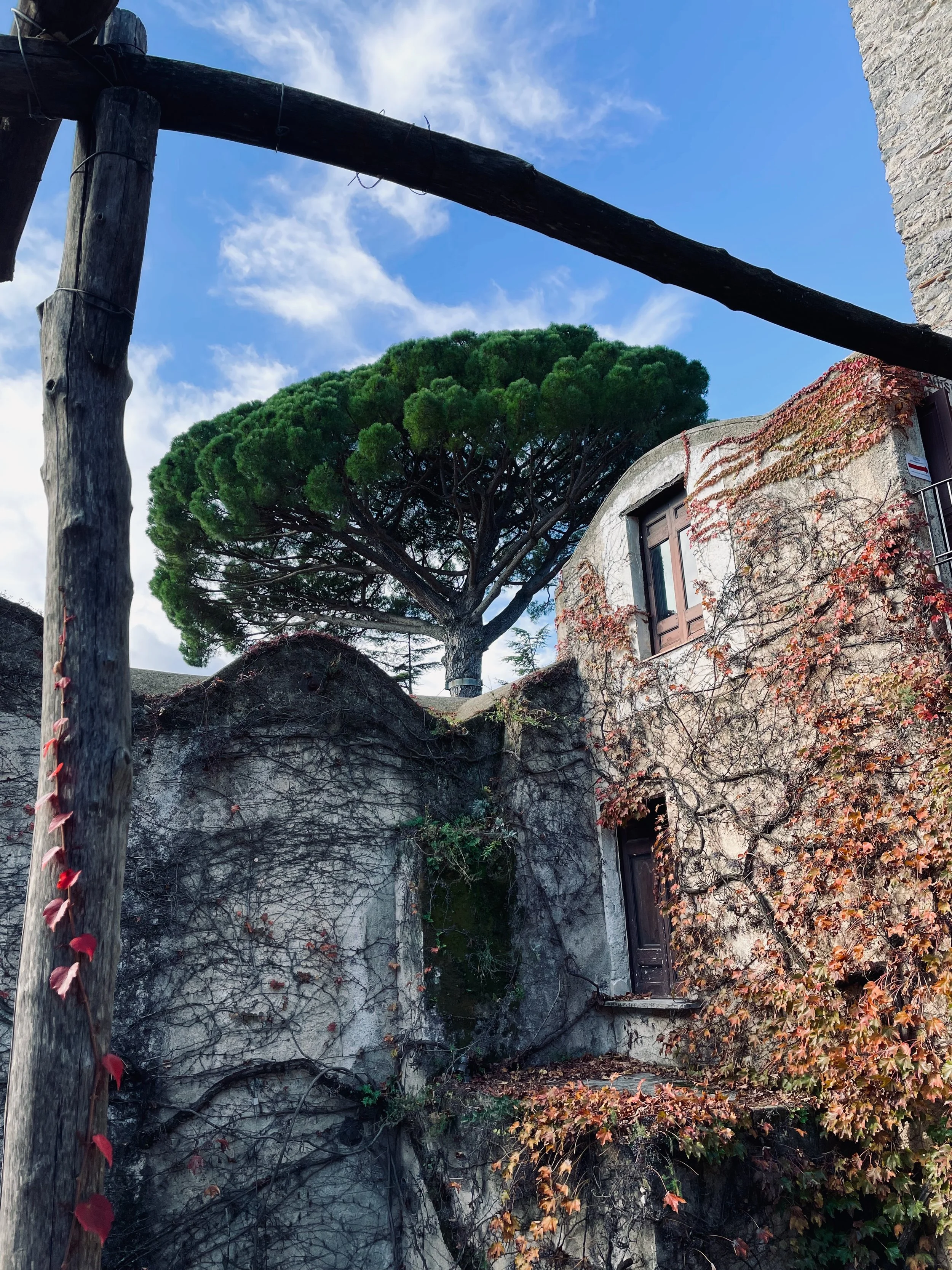 View of an old building with climbing vines and a large tree in the background under a partly cloudy sky.