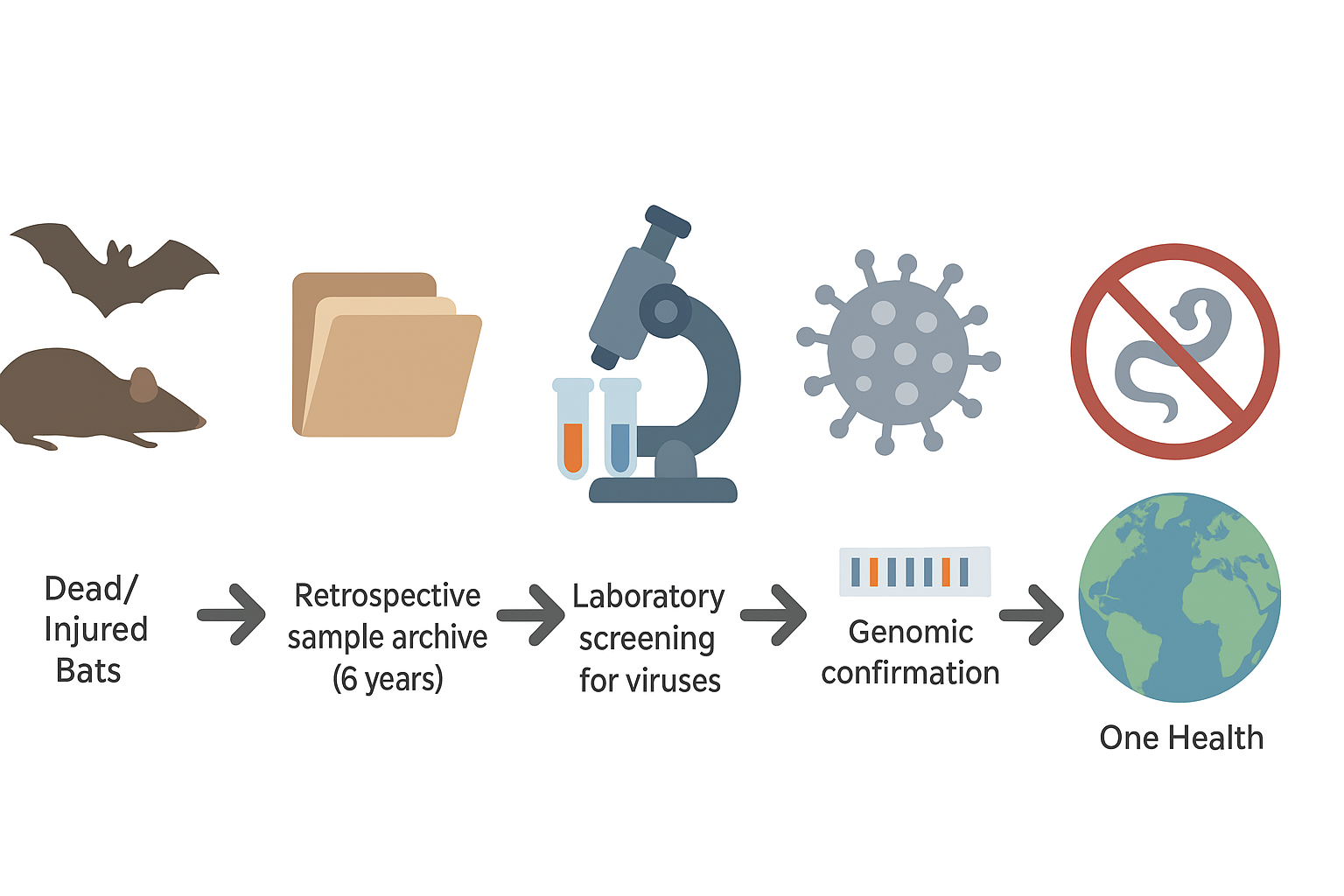 Multipurpose Passive Surveillance of Bat-Borne Viruses in Hungary: Lyssaviruses and Filoviruses in Focus