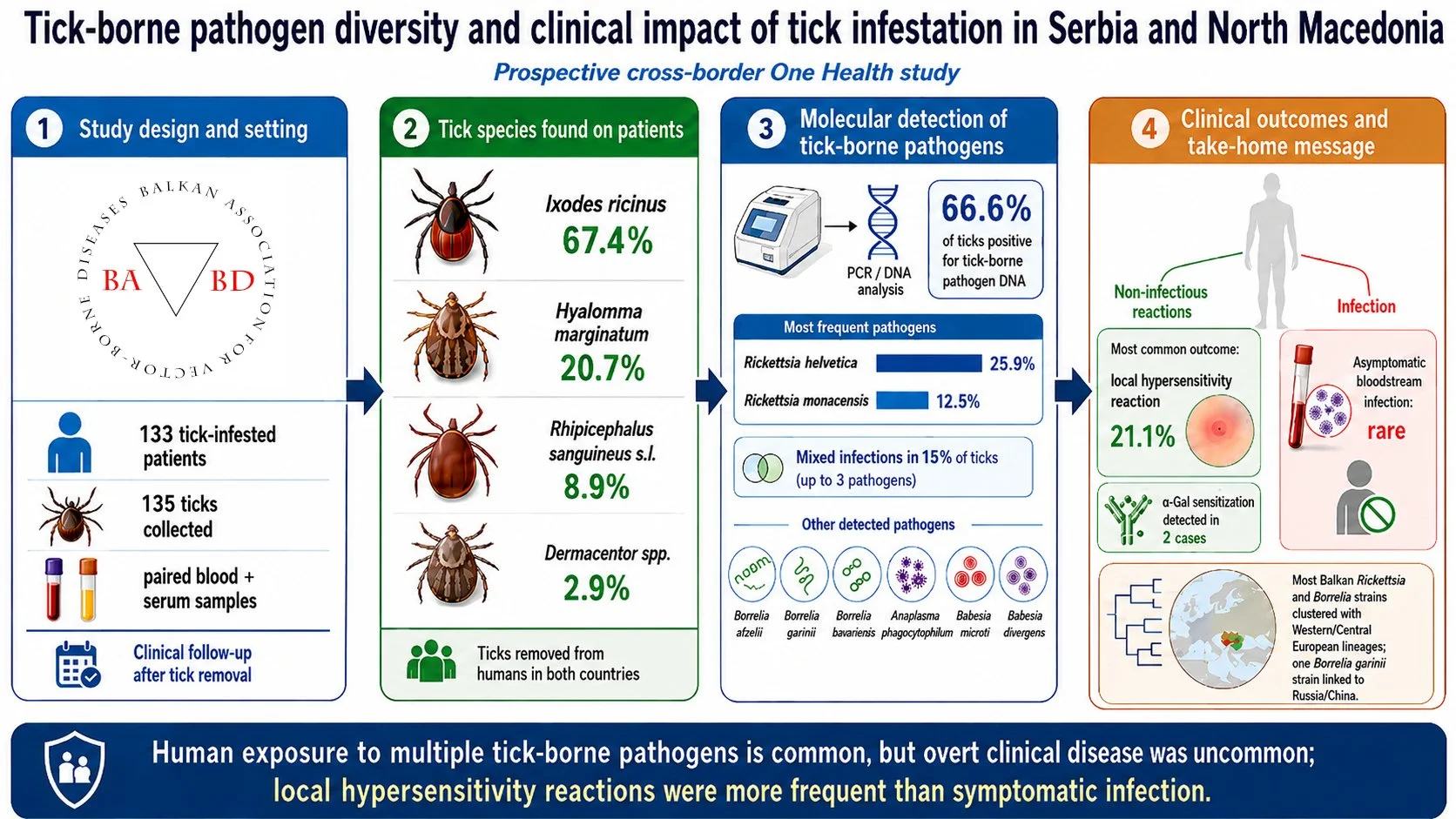 Tick-borne pathogen diversity and clinical impact of tick-infestation in Serbia and North Macedonia