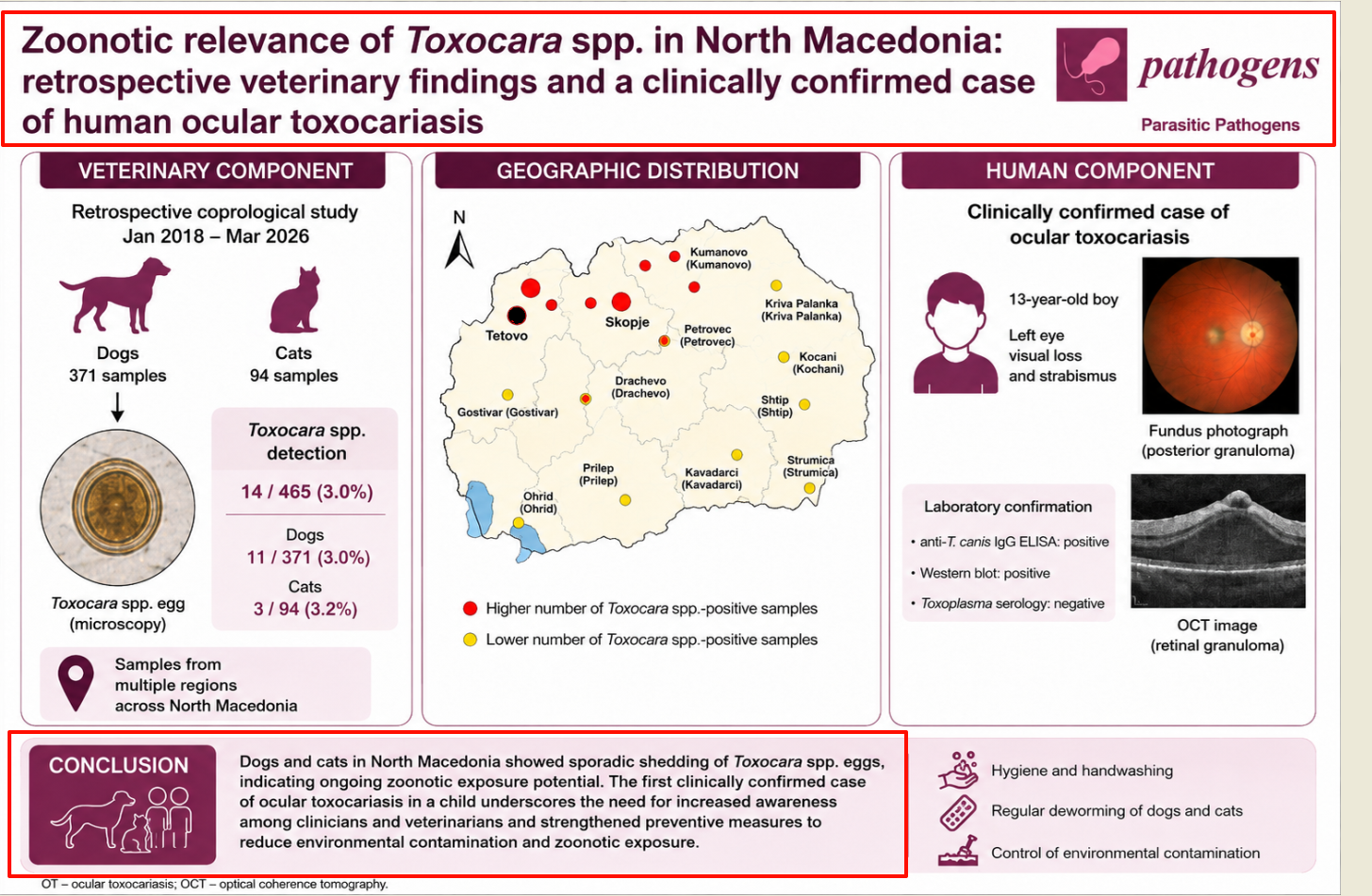 Zoonotic Relevance of Toxocara spp. in North Macedonia: Retrospective Veterinary Findings and a Clinically Confirmed Case of Human Ocular Toxocariasis