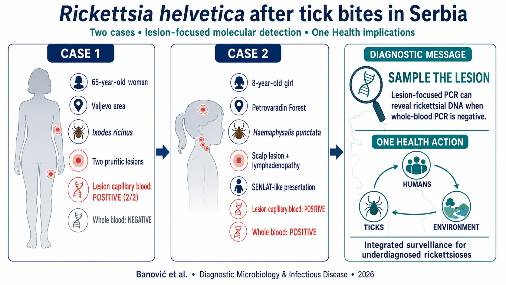 Molecular detection of Rickettsia helvetica in lesion and blood samples after tick bites in Serbia: two cases with One Health implications