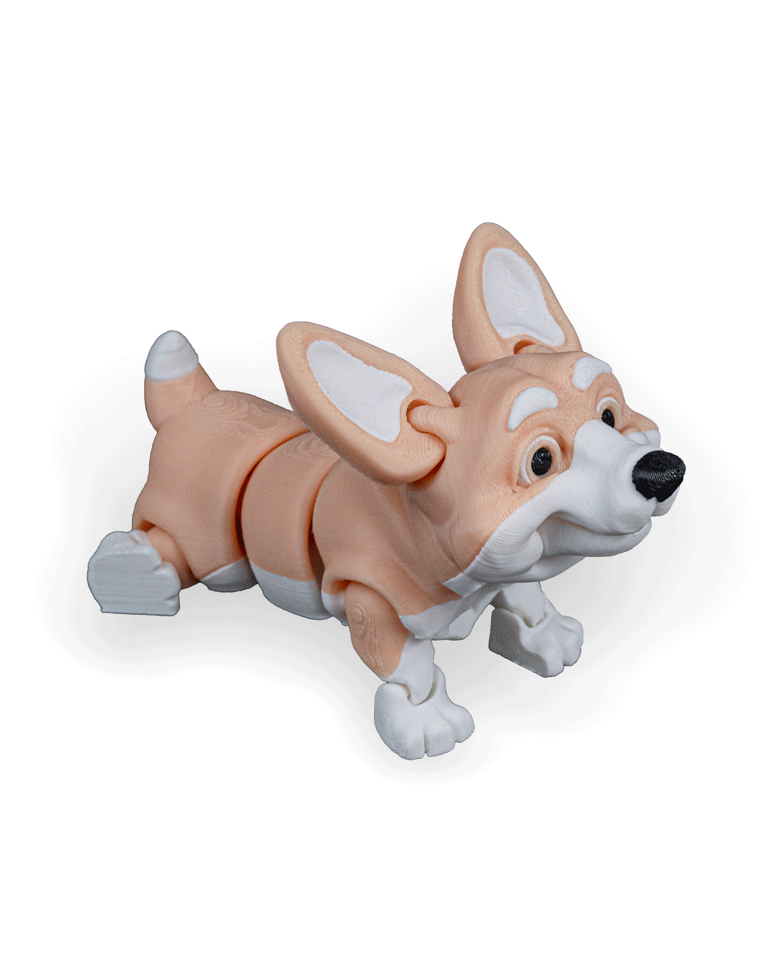 Rufus_the_Welsh_Corgi_WB_6_c98c26a64f.png