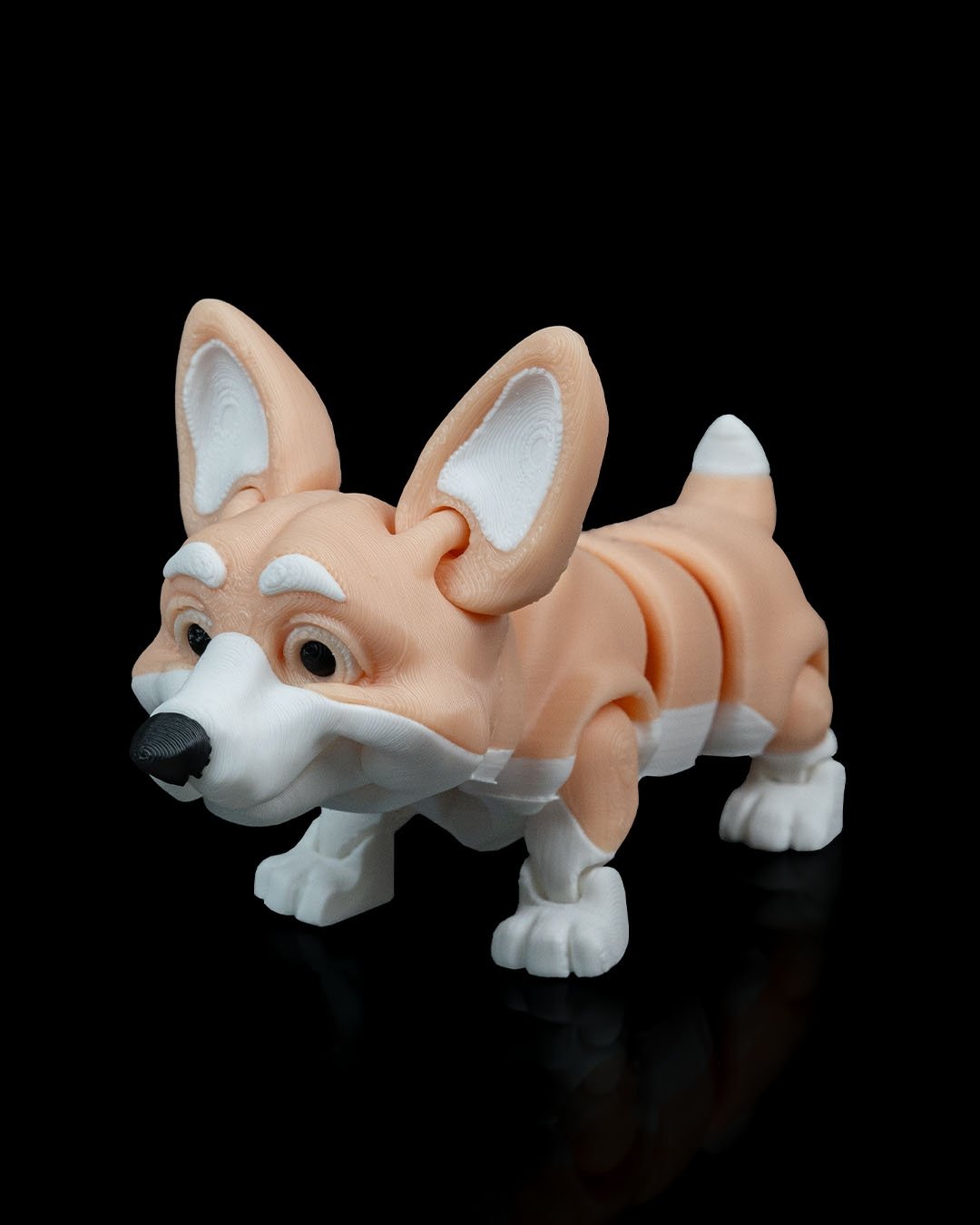 Rufus_the_Welsh_Corgi5_43860f5477.jpg