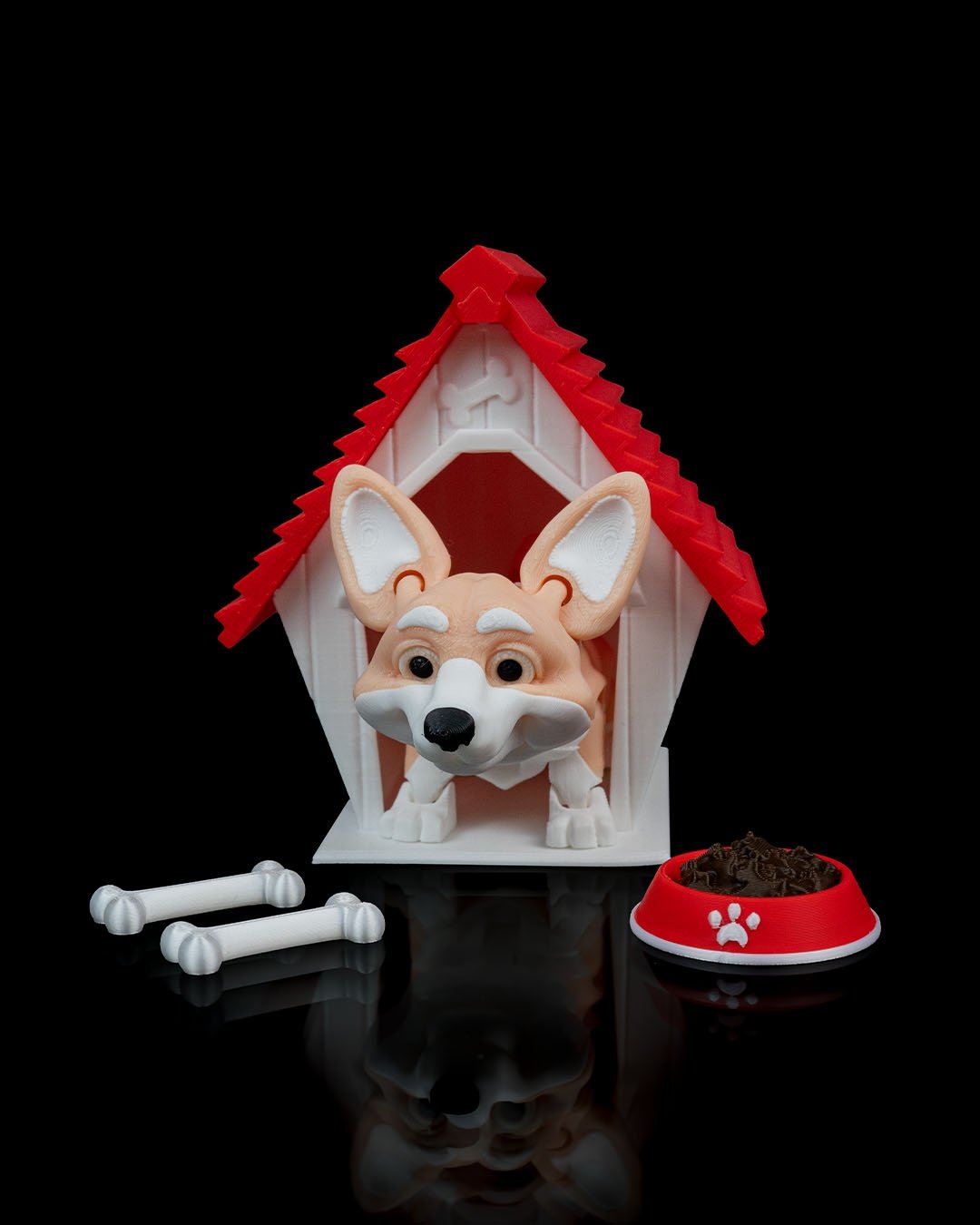 Rufus_the_Welsh_Corgi7_a236ffd538.jpg