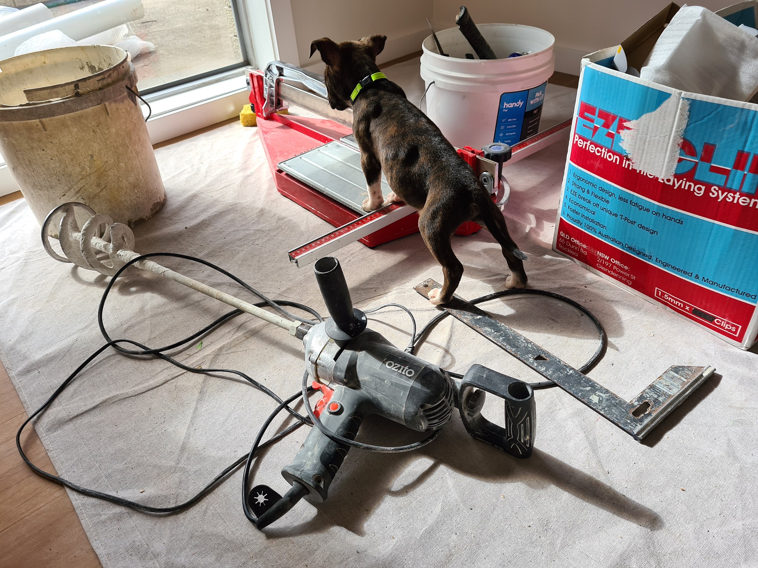 OUR LITTLE APPRENTICE