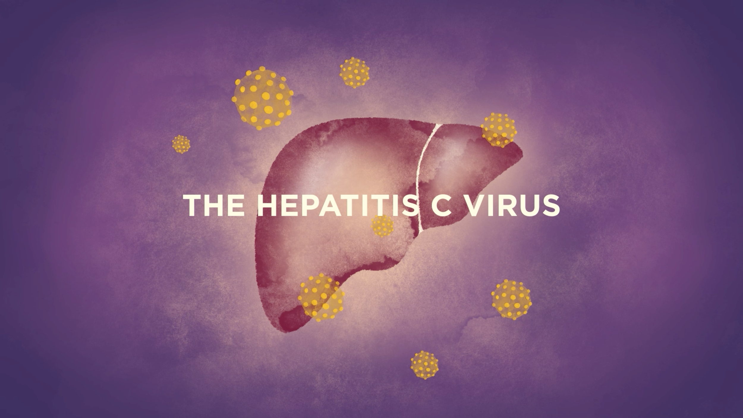 WHO THE HEPATITIS C VIRUS