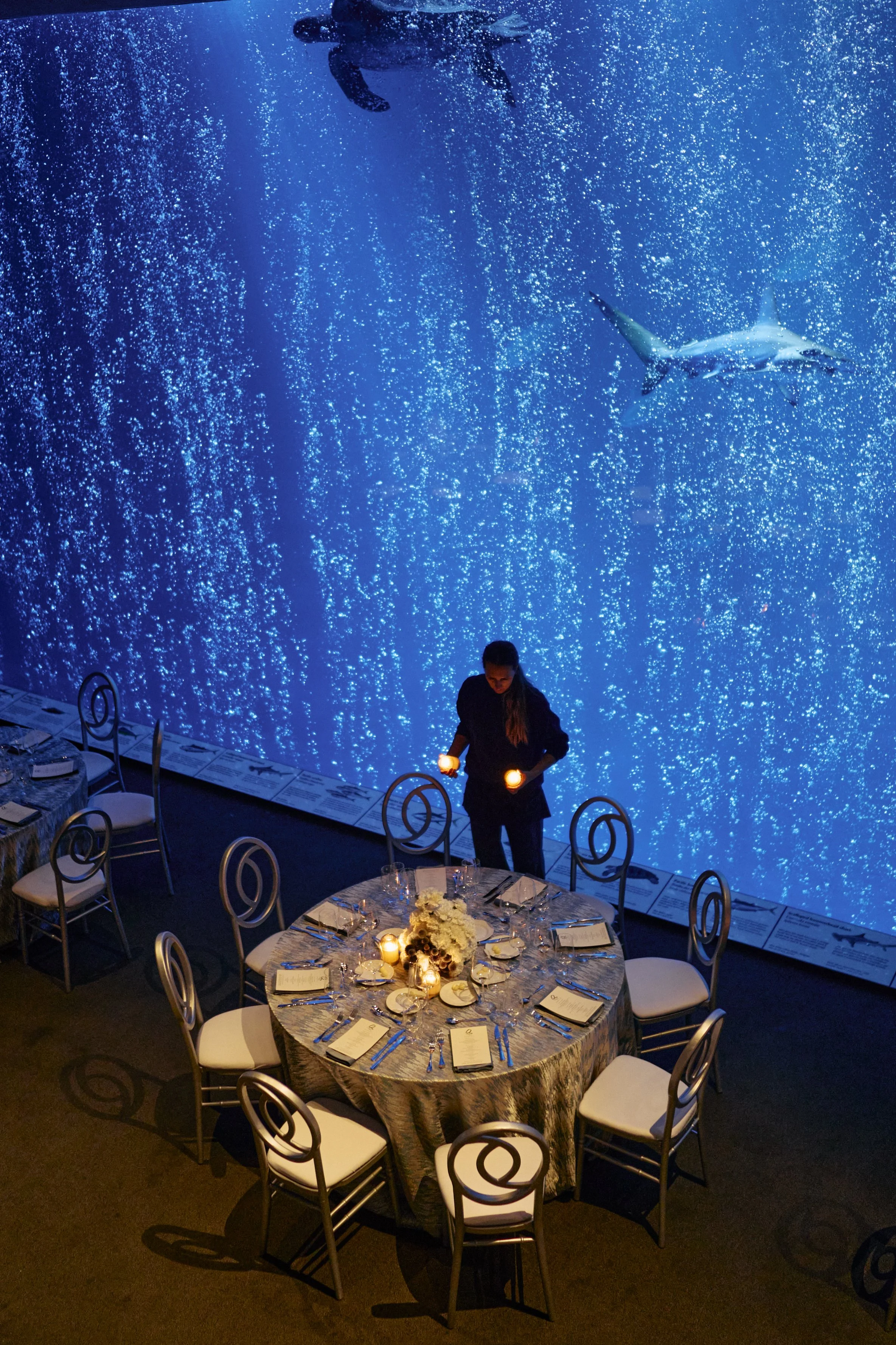 The Quail Rally 2025_133.jpg