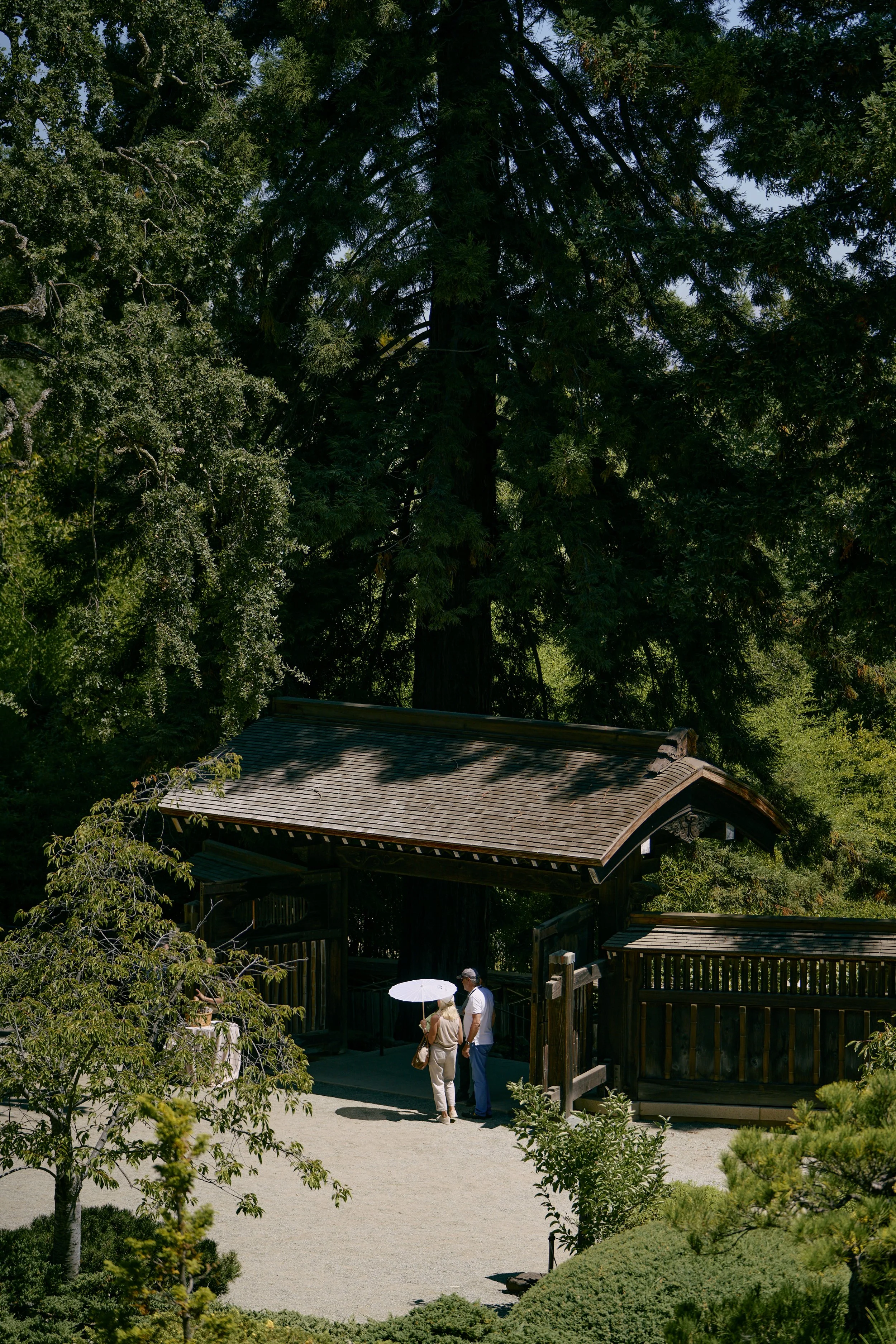 The Quail Rally 2025_255.jpg