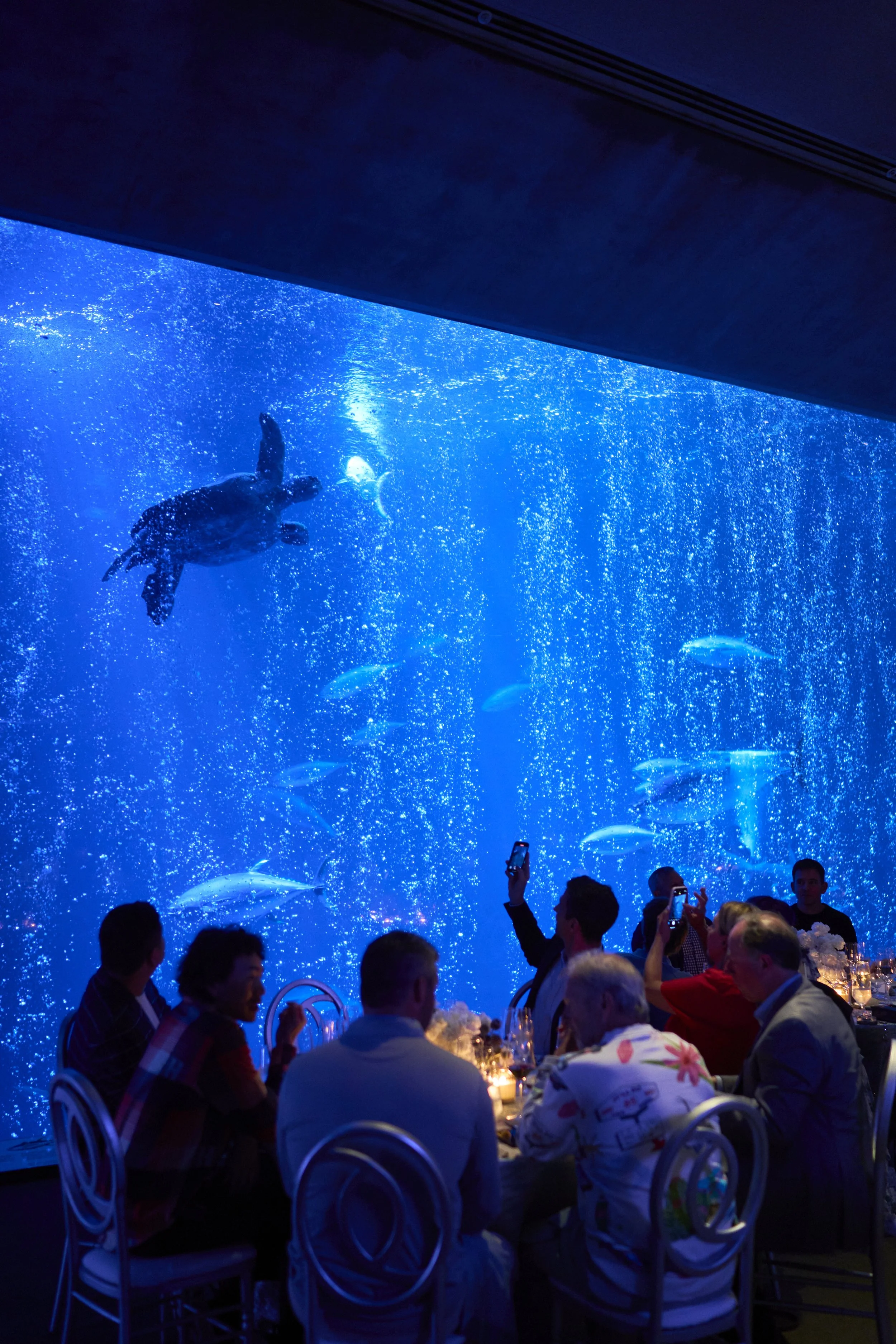 The Quail Rally 2025_092.jpg