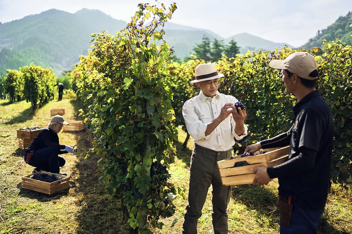 Low_Res_Hiroaki Chateau Mercian Vineyard PTK Perspectives 8446.jpg