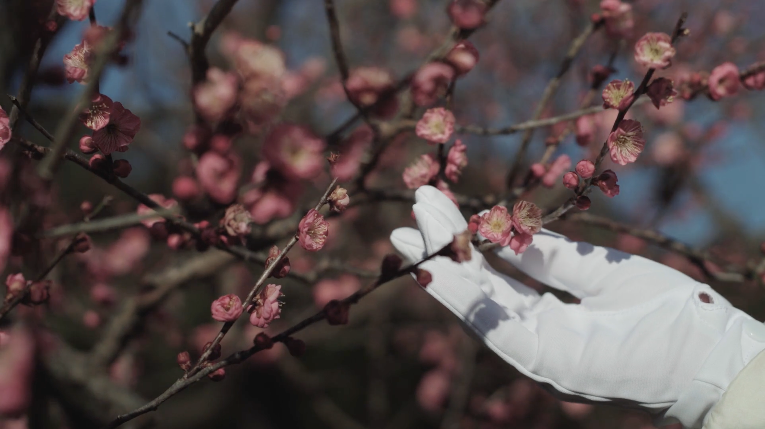 HONGKONG & SHANGHAI HOTELS CRS PROGRAM