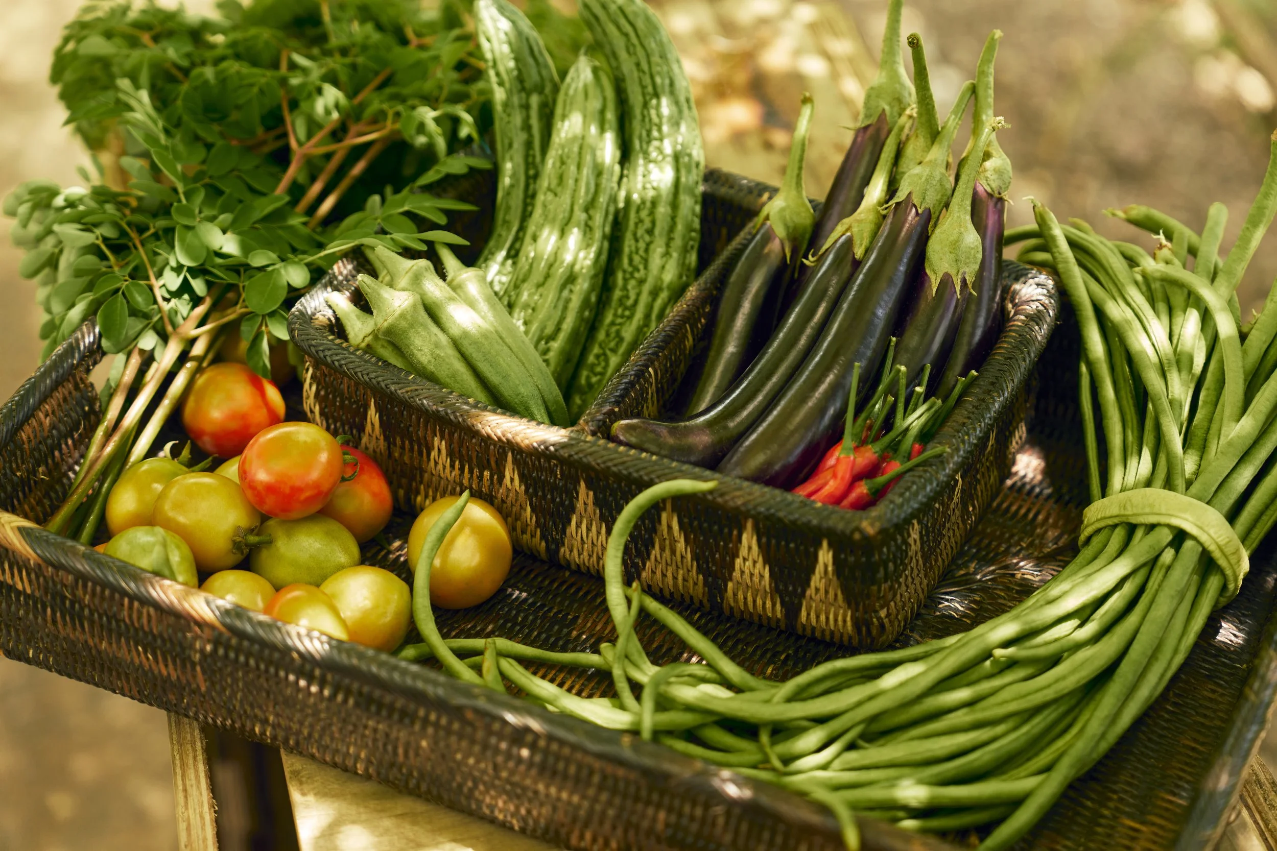 Low_Res_SEDA Nuvali_FARM_5281.jpg