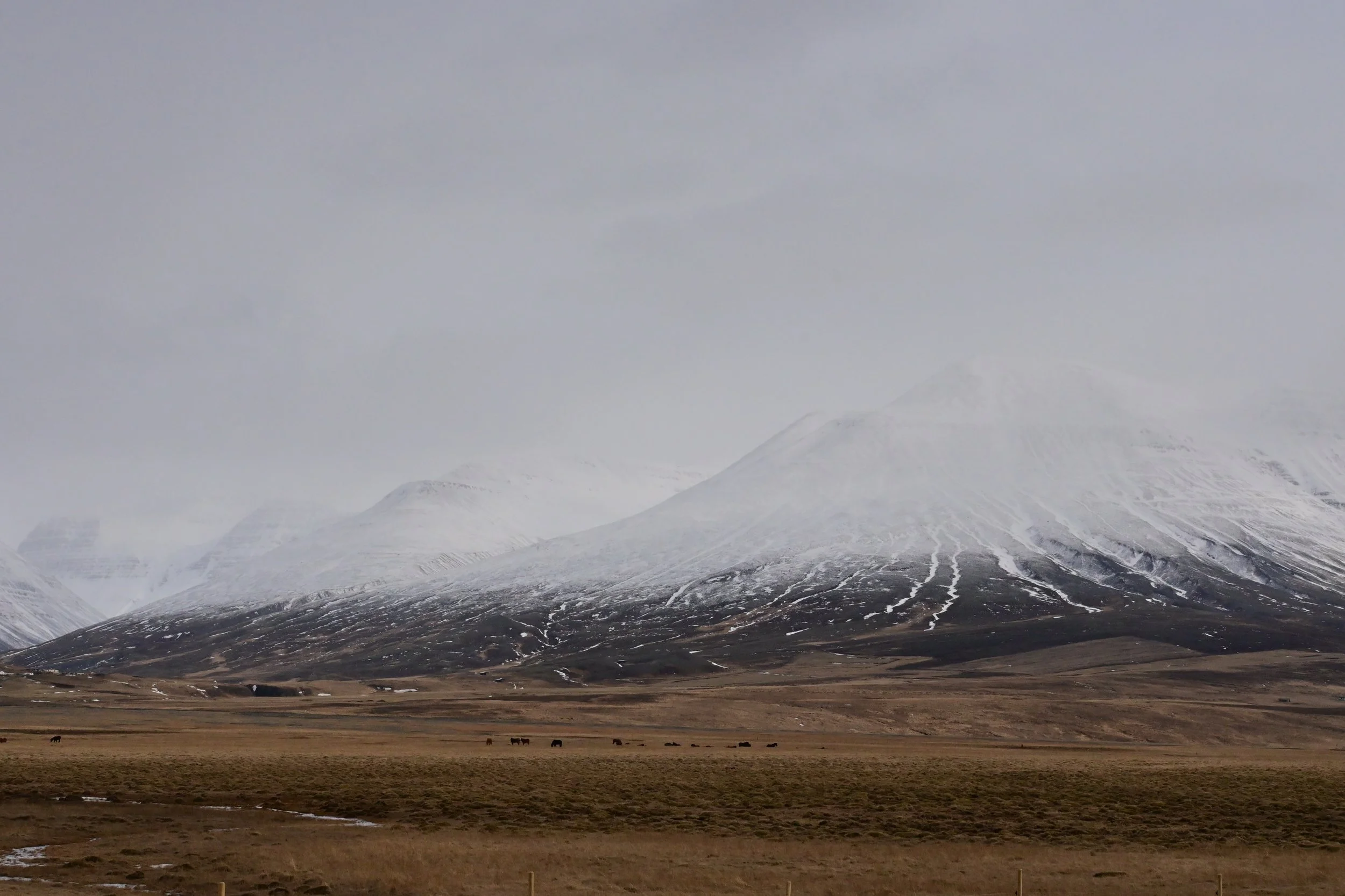 2103_Islande_1218.JPG