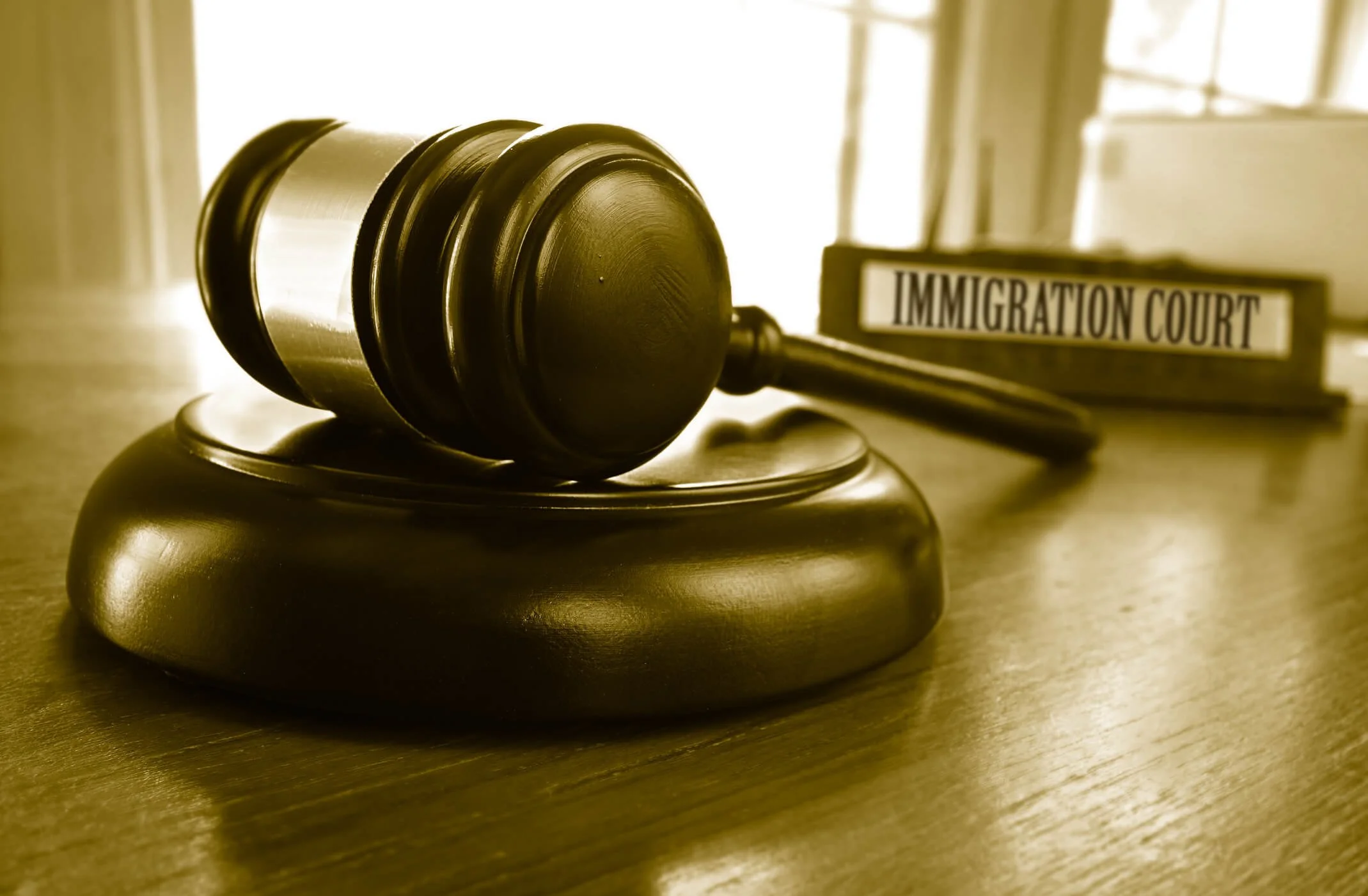 Understanding the Immigration Court Process In Texas