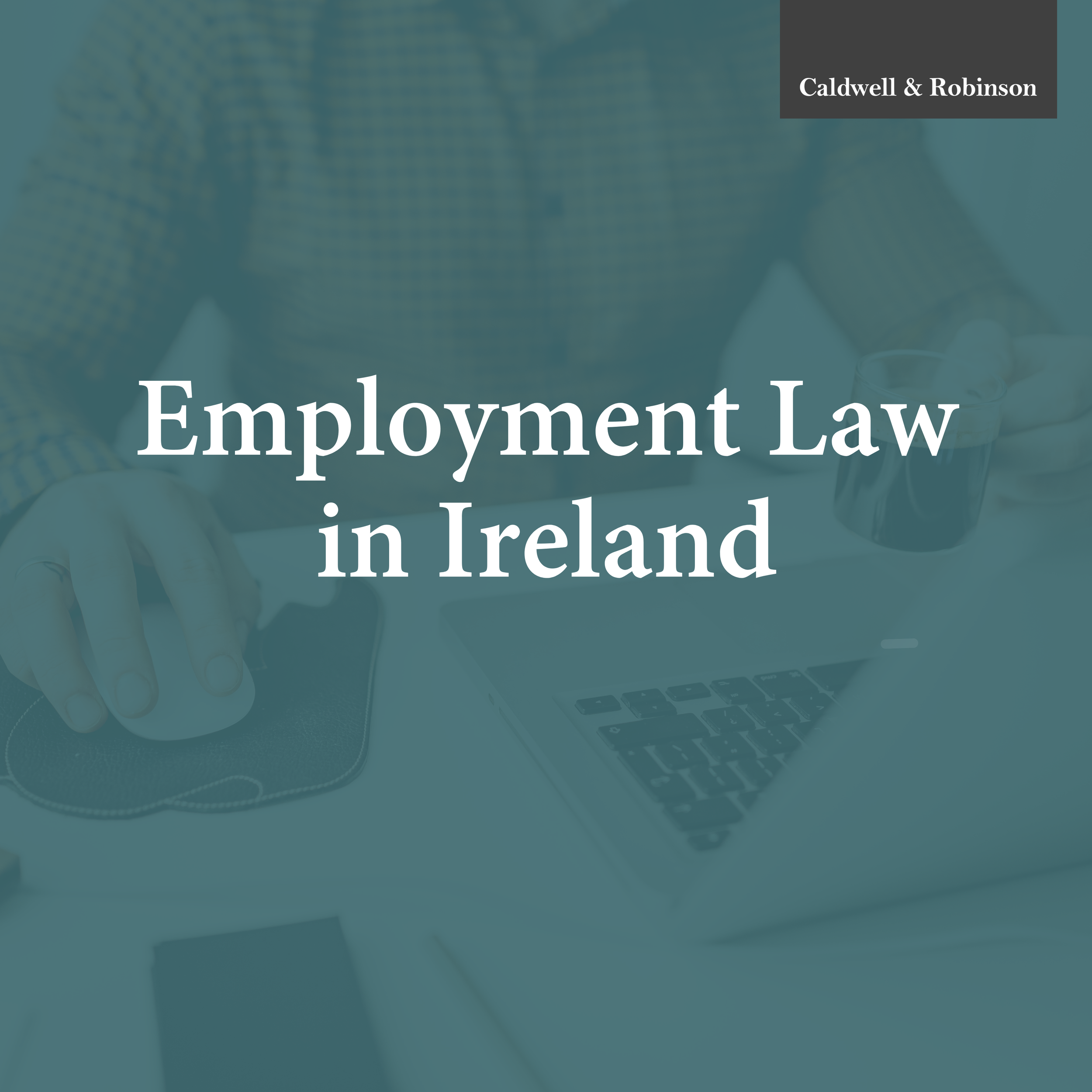 Employment Law in Ireland: Tribunal Procedure, Costs, and Practical Considerations