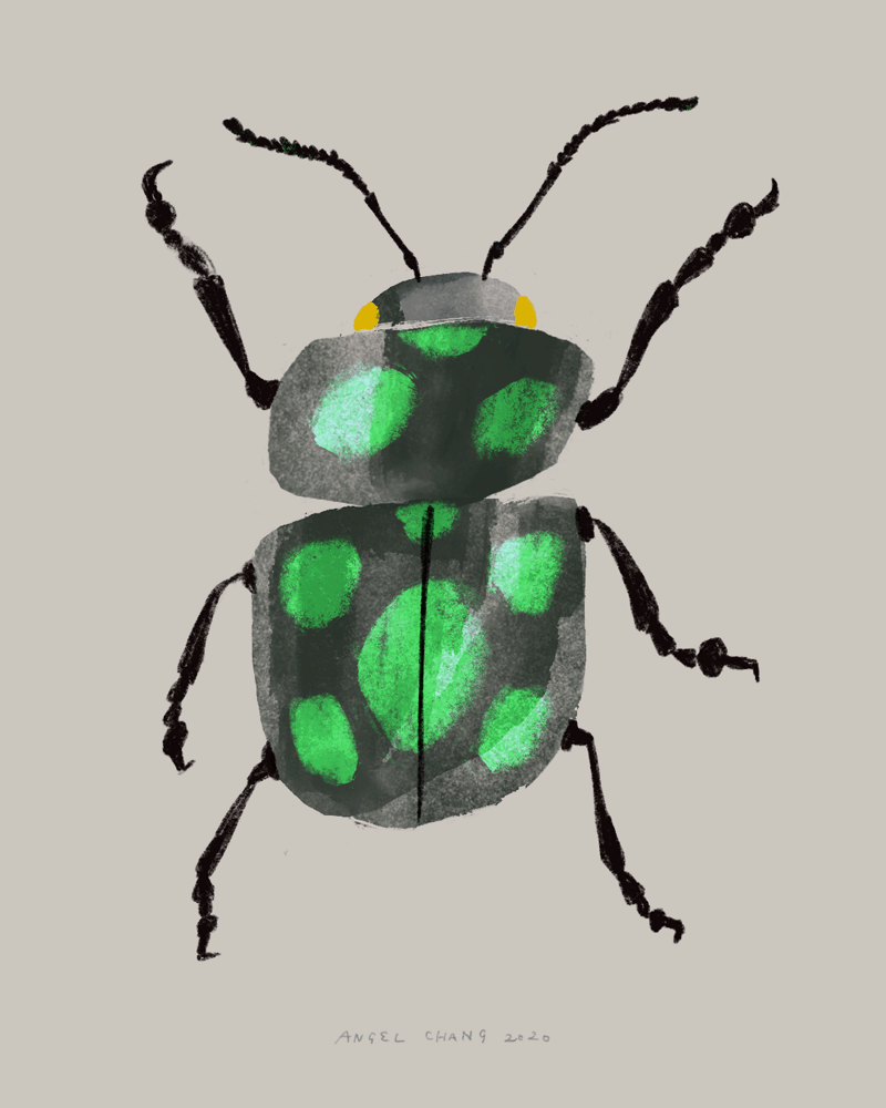 Angel Chang_Personal Work_Beetle_2020.gif