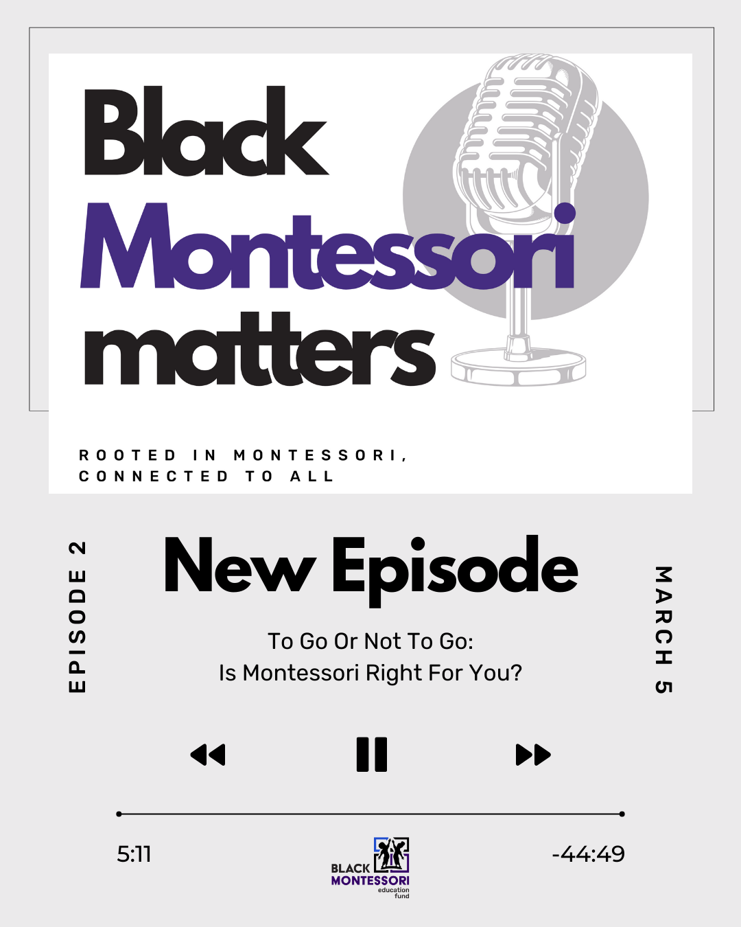 Black Montessori Matters Podcast Episode 2