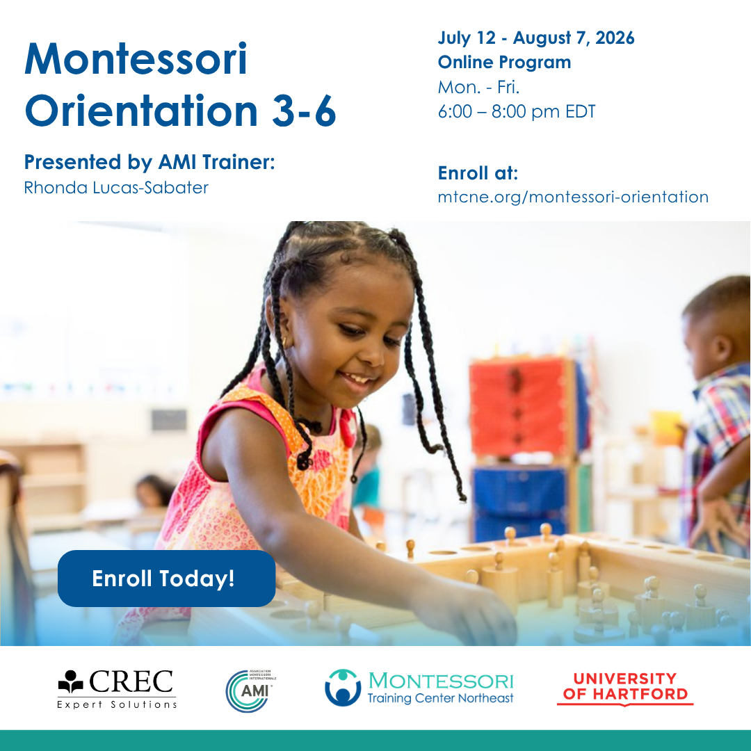 AMI 3-6 Orientation Course (Online)