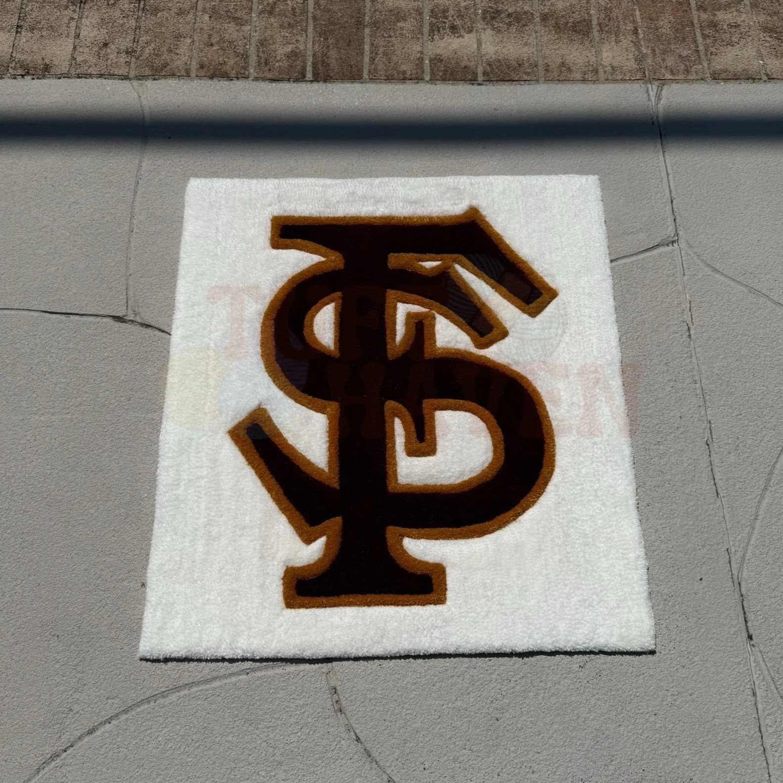 Inspired Florida State Rug