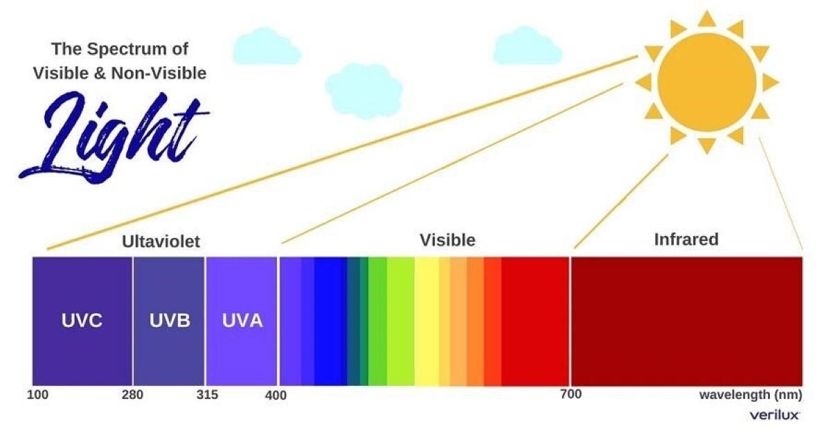 Why sunlight is an essential nutrient: circadian rhythm regulation and ...