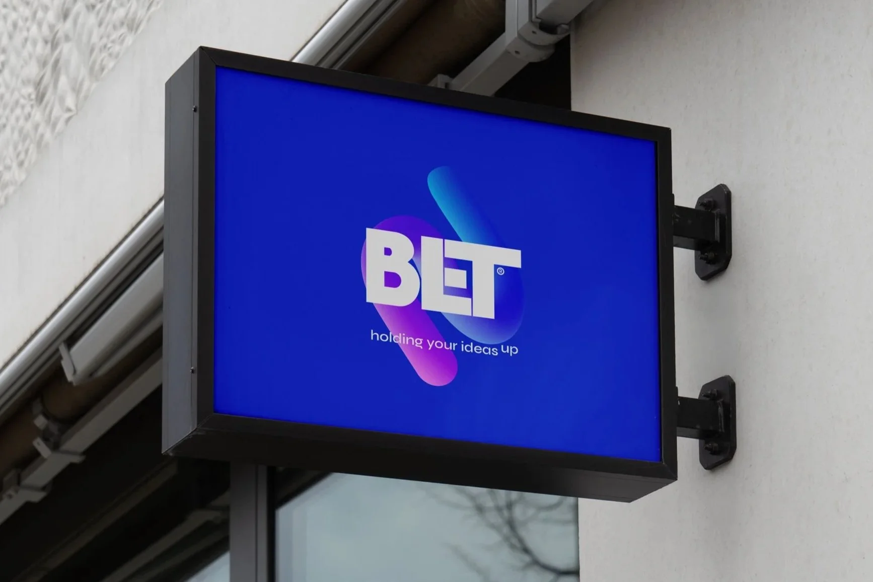 Belt x Visual system & identity