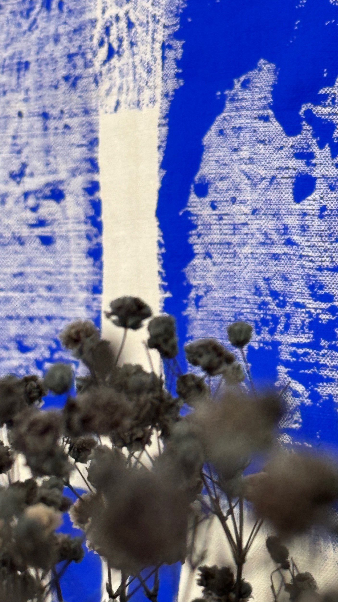 3C009609-E286-449D-B60C-6E2A20FB5006.jpeg