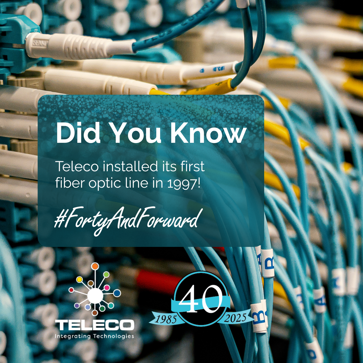 Social media branding, Instagram content design, digital marketing assets