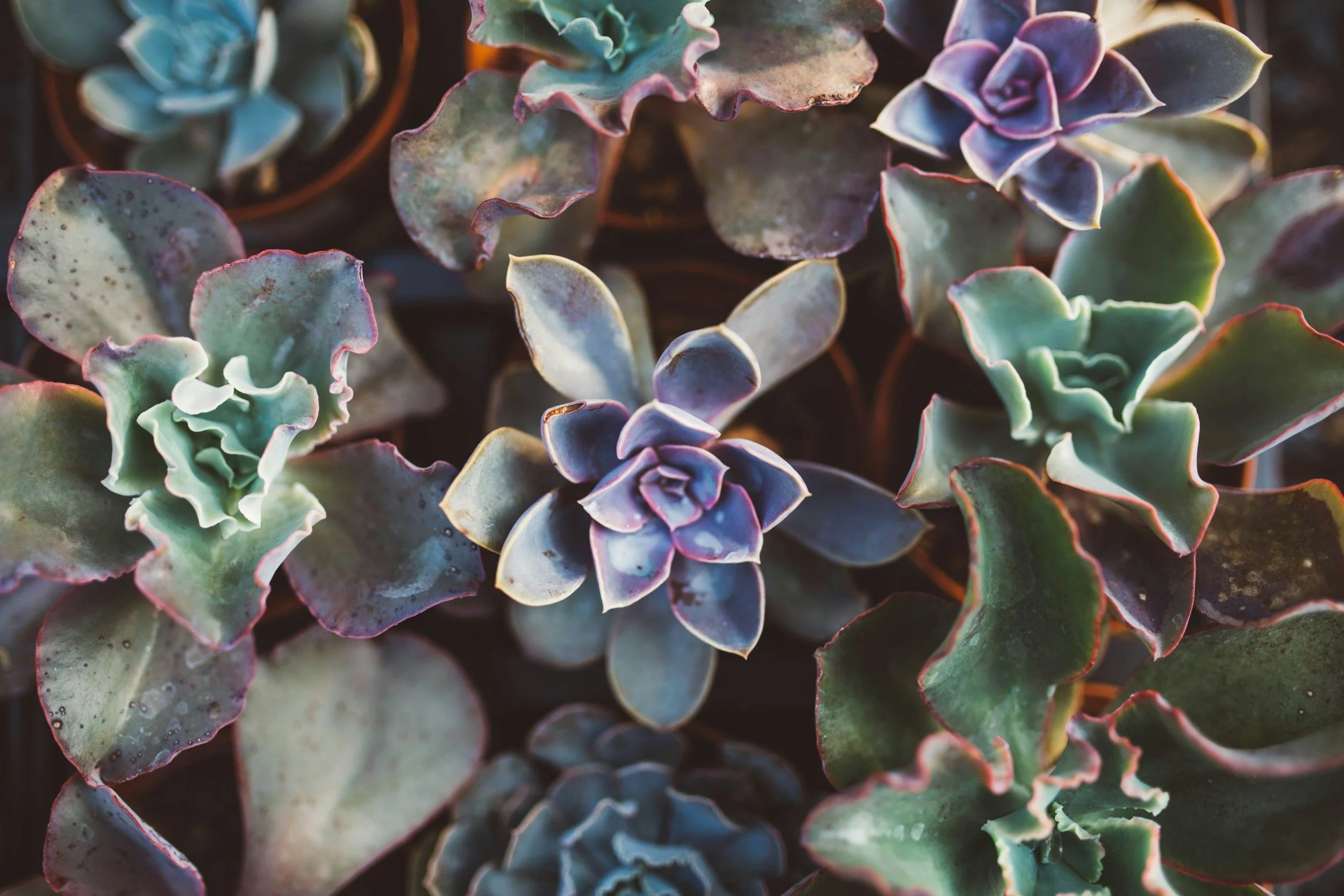 unsplash-image-gXQA37fFpBU.jpg