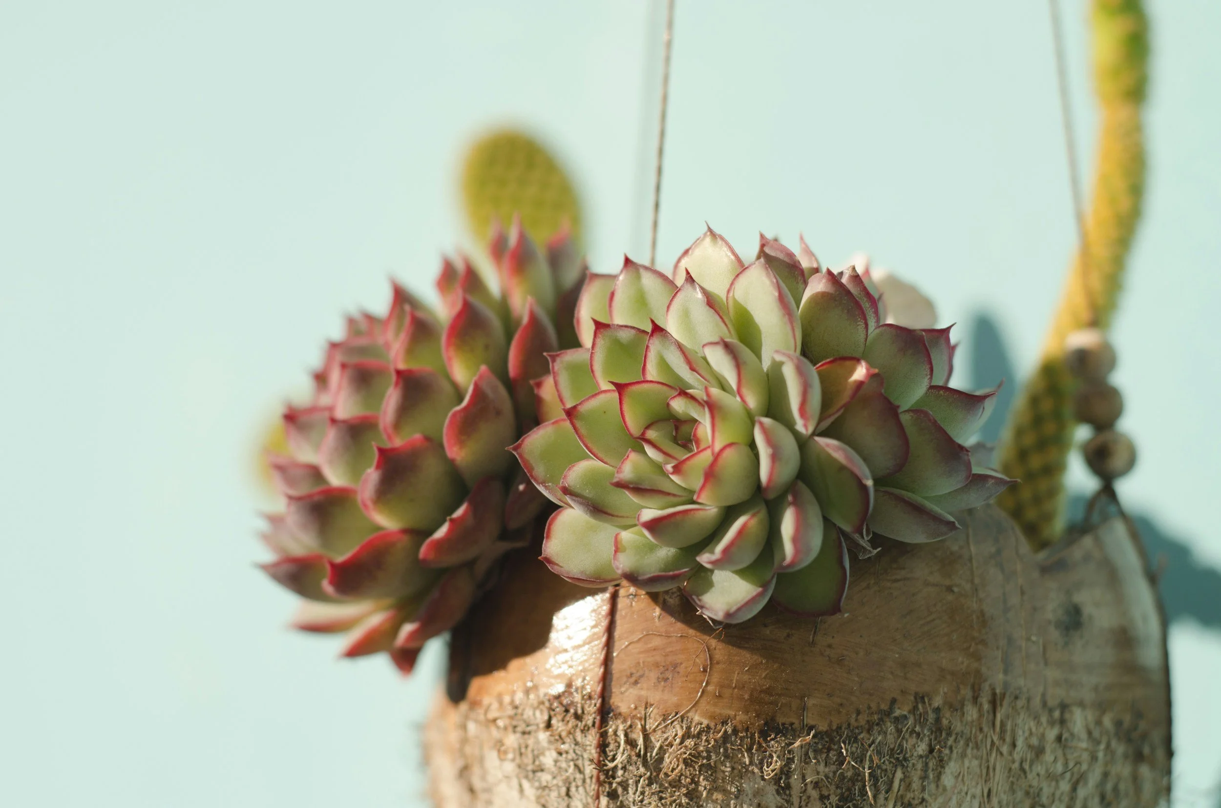 unsplash-image-E26GpXshBCQ.jpg