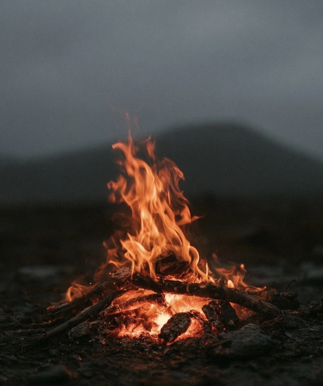 Before Dawn
