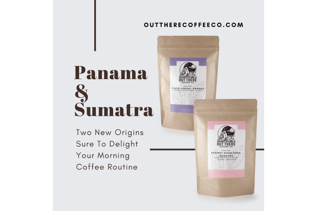 SCW Product Packaging & Marketing image.png