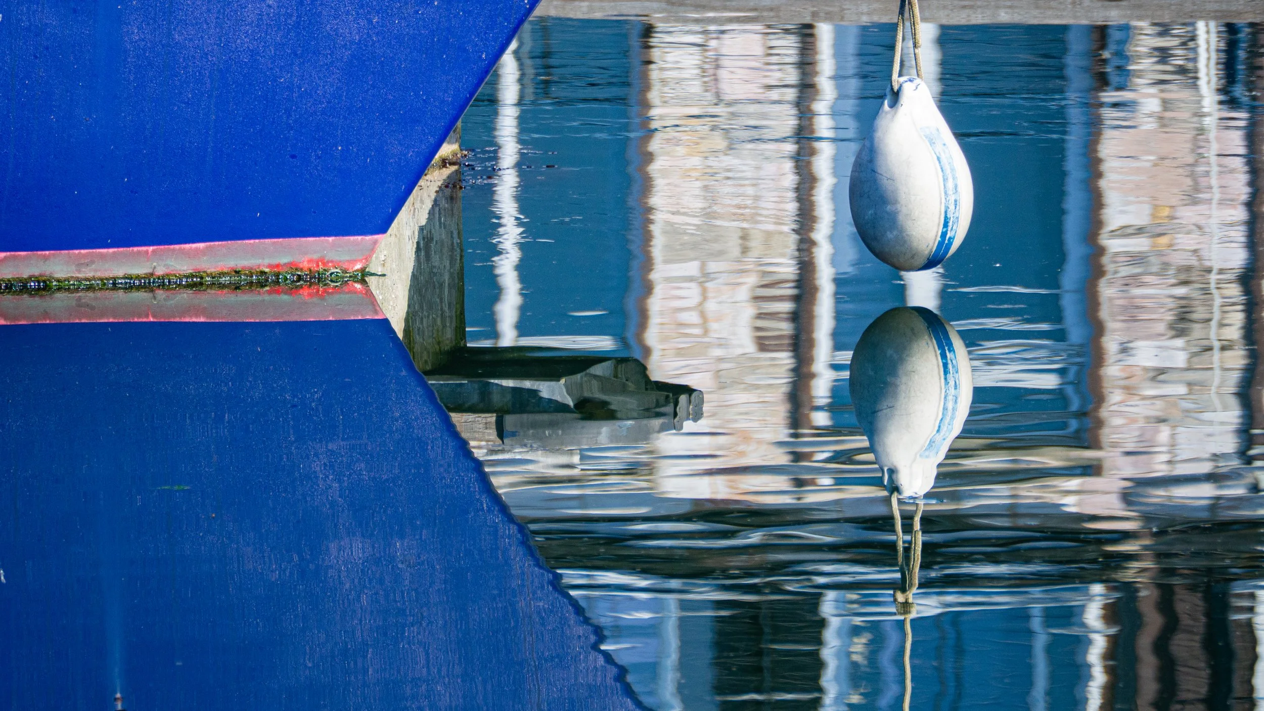 roller buoy blue.jpg