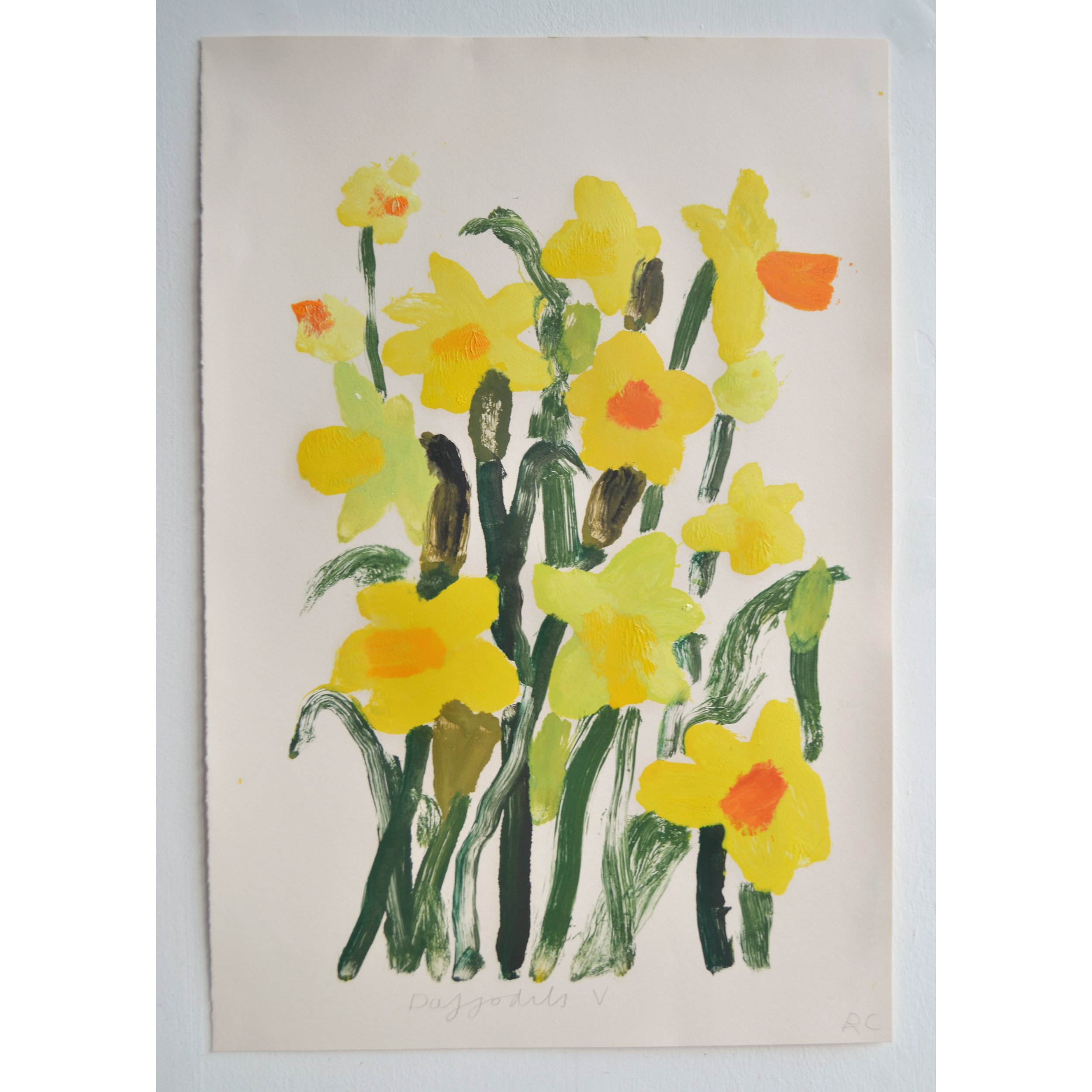 Daffs 5.jpg