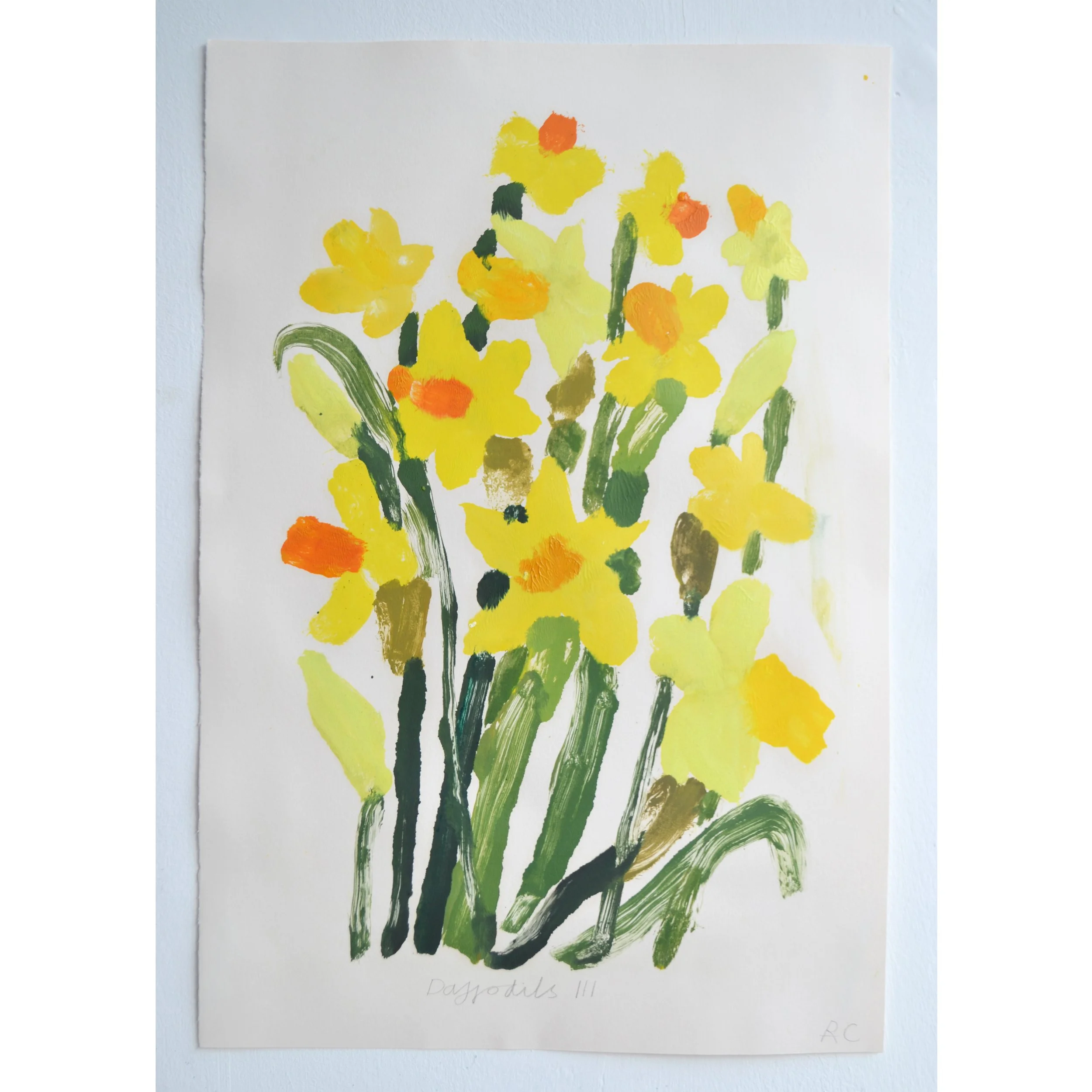 Daffs 3.jpg