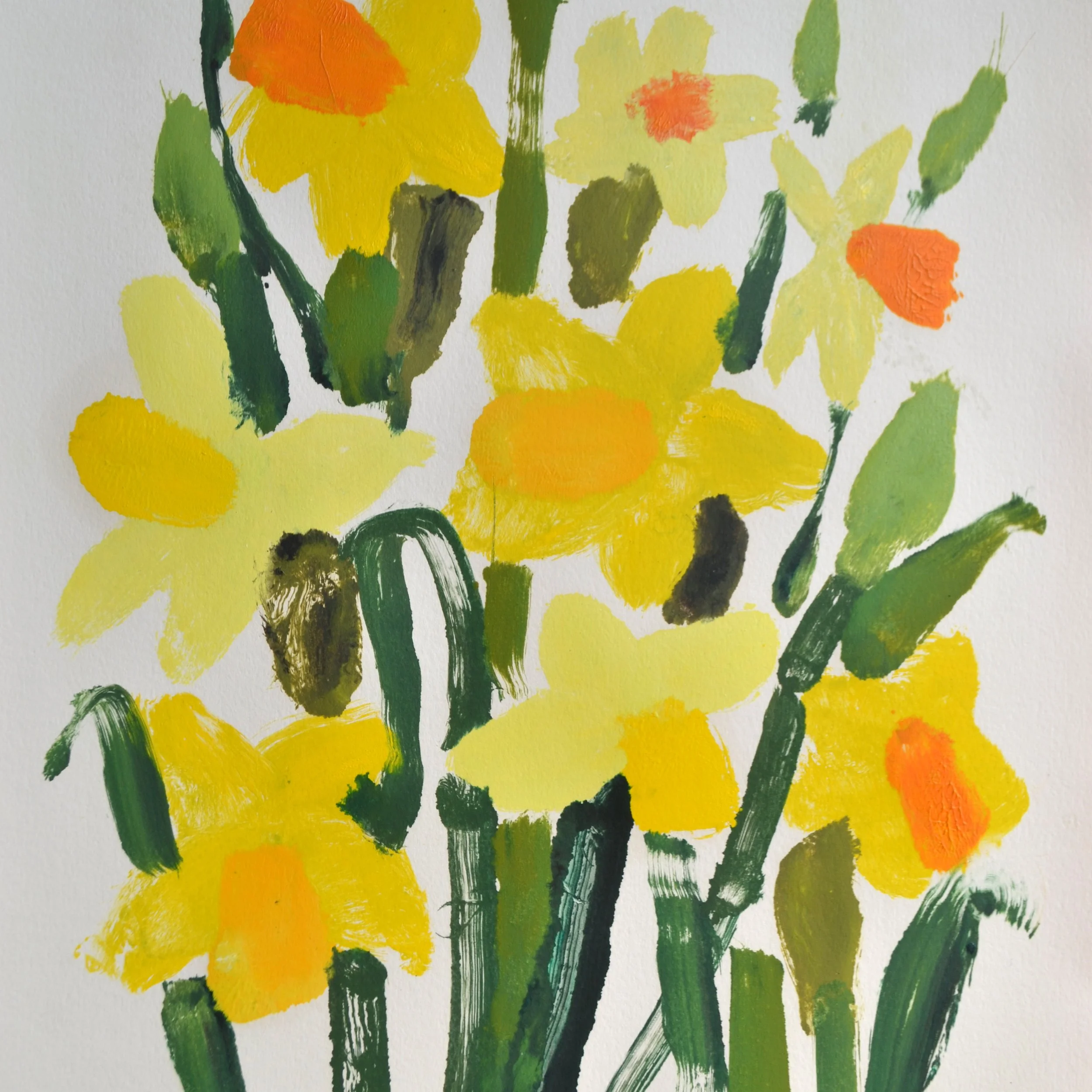 daff iv close up.jpg