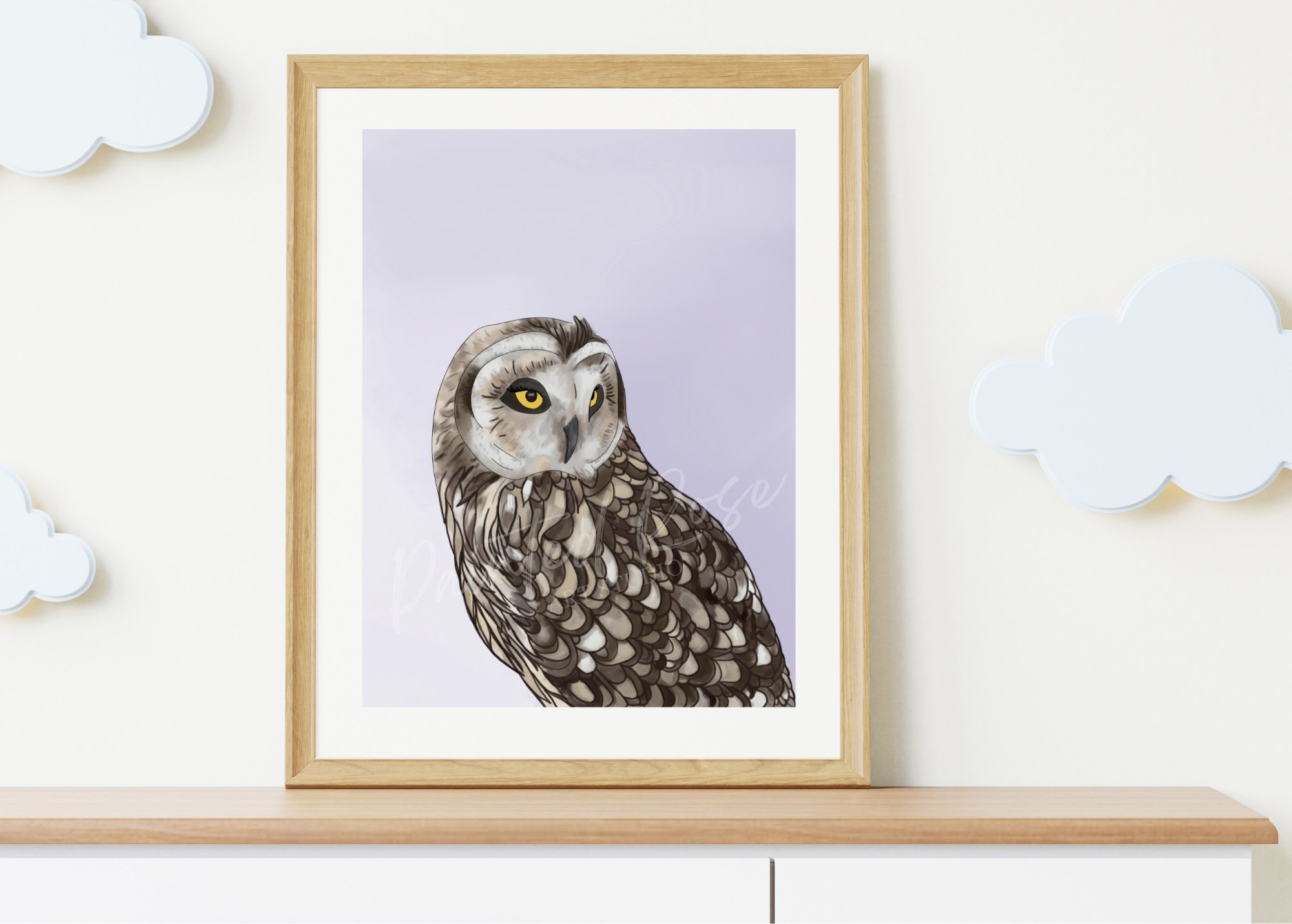 The Owl