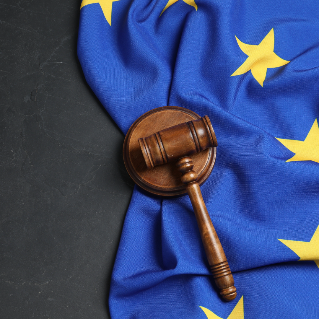 The European Union’s reform of international investment law: still (un)feasible and relevant?