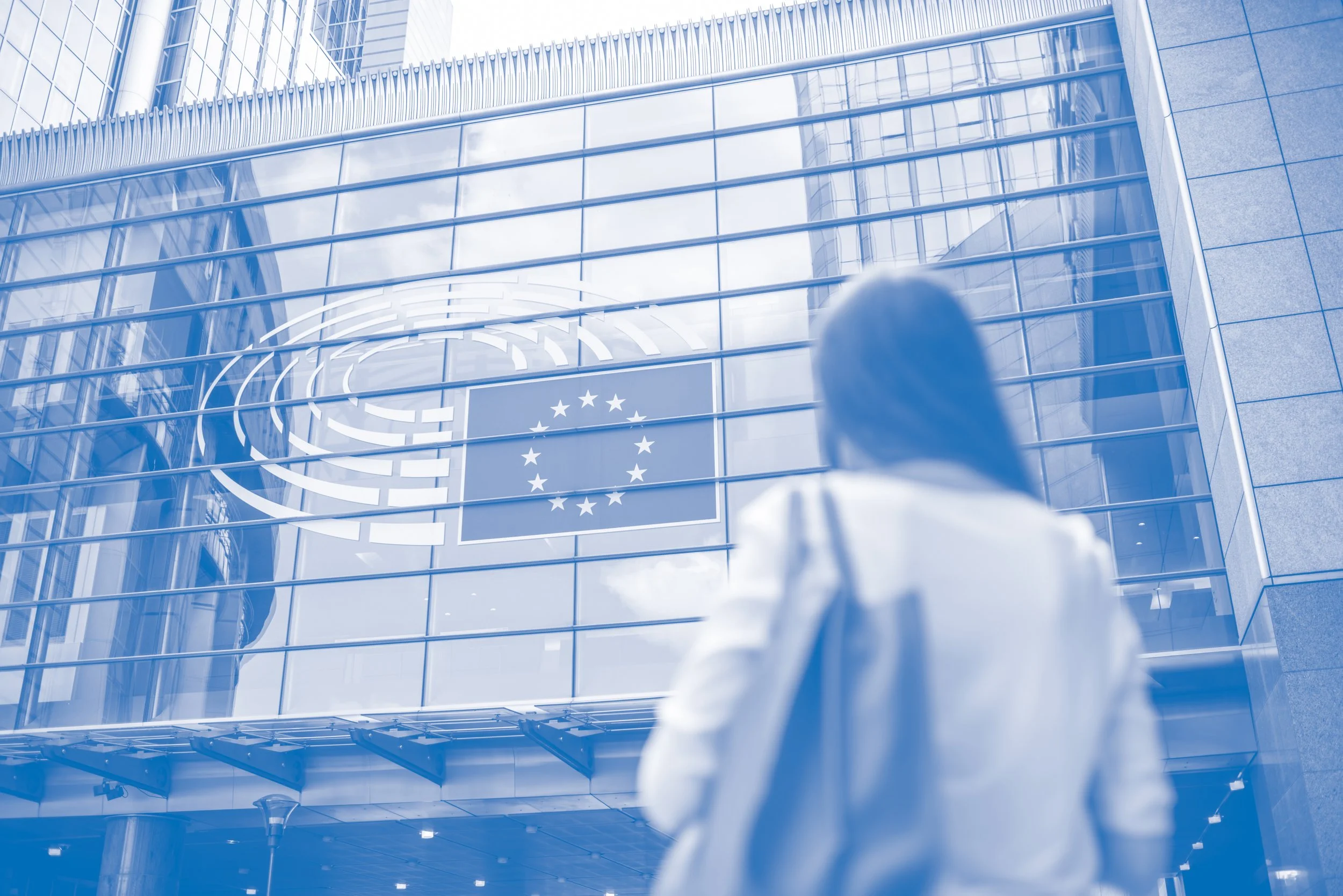 Chapter 1: European Values in EU’s External Policy