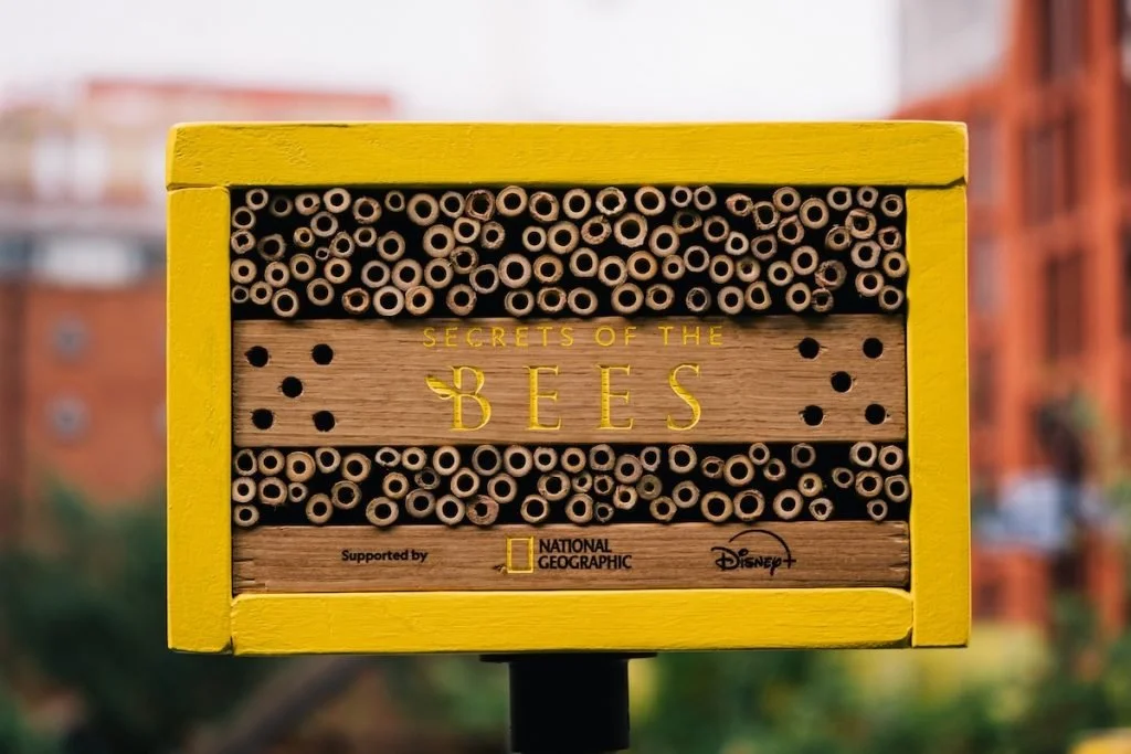 National Geographic - Secrets of The Bees