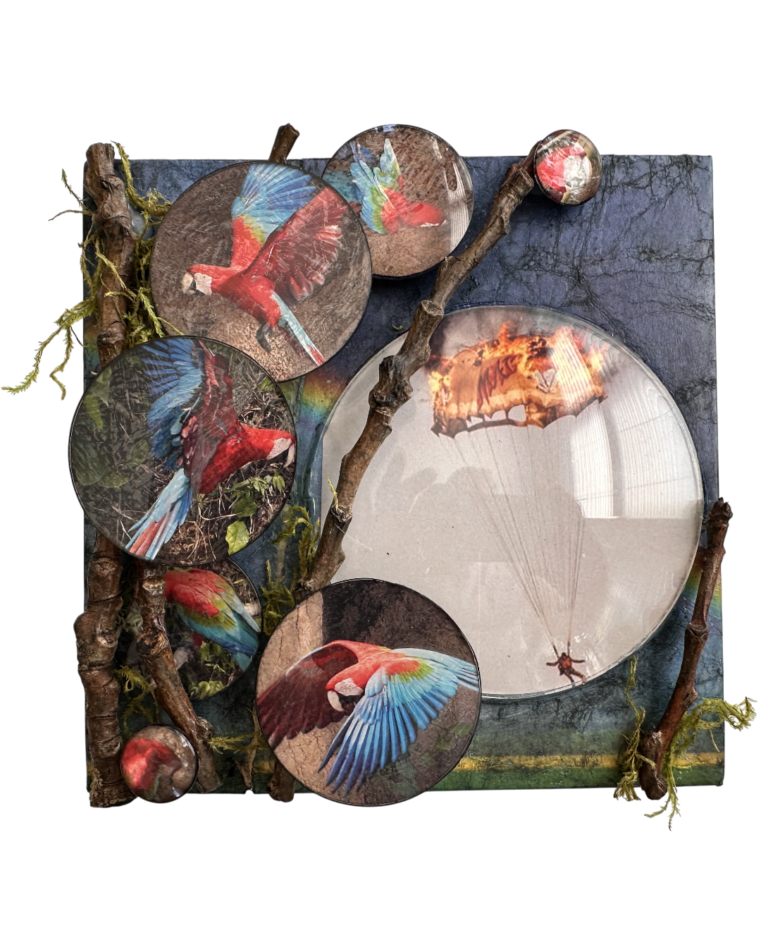 Lofty Aspirations assemblage featuring scarlet macaws, tree branches, and a parachutist descending beneath a burning parachute