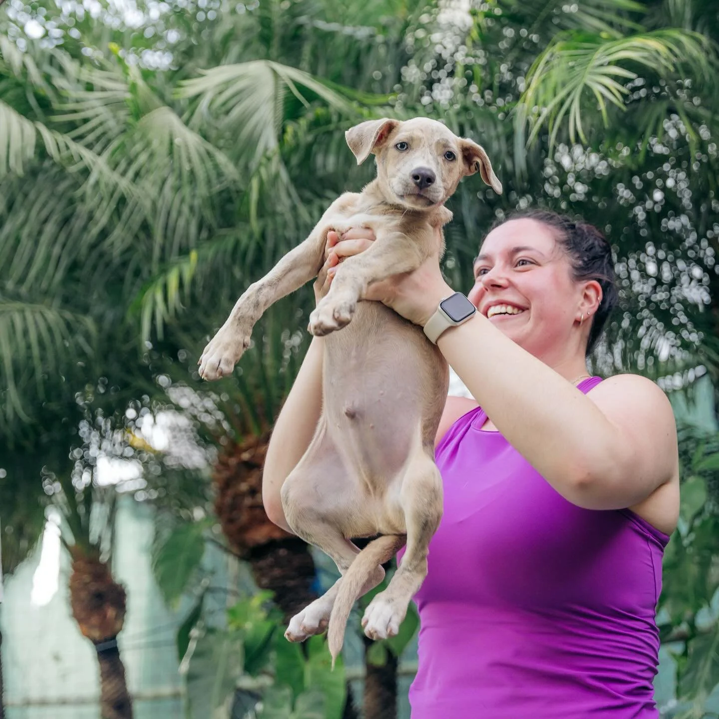 Taking downward dog to a whole new level. 🐶🩷 We had so much fun collaborating with @sos.animales.nica to support their incredible work!! SOS is a nonprofit dedicated to rescuing, sterilizing, and finding homes for stray and neglected animals. Best 