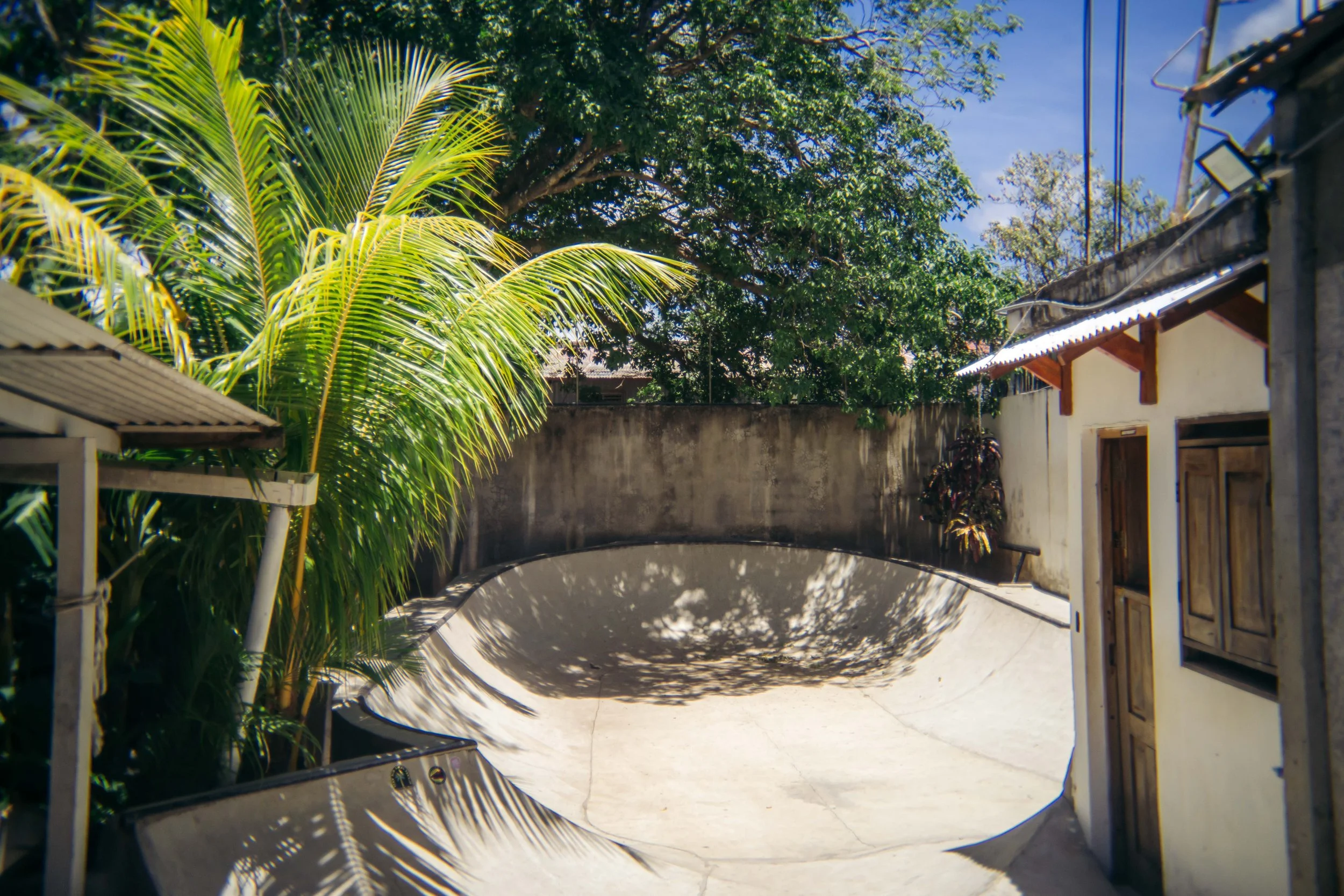 Empty backyard with a concrete skateboarding bowl, surrounded by a high wall, lush green palm and other trees, and small buildings with wooden doors and shutters, under a clear blue sky.