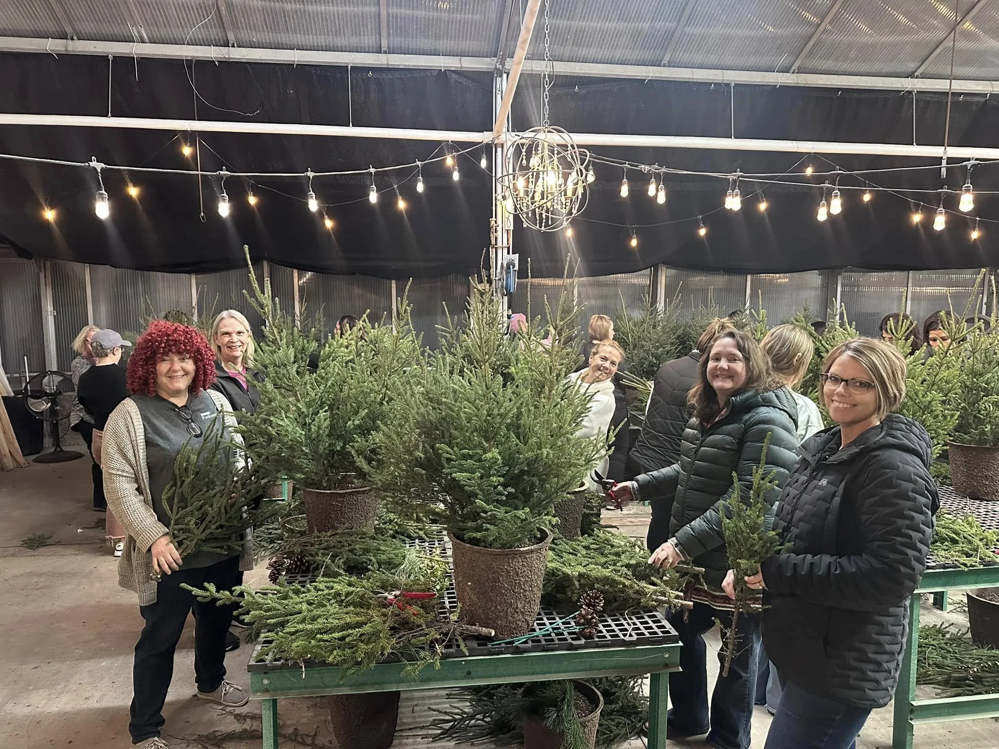 Group of people shopping for potted Christmas trees at an indoor market.