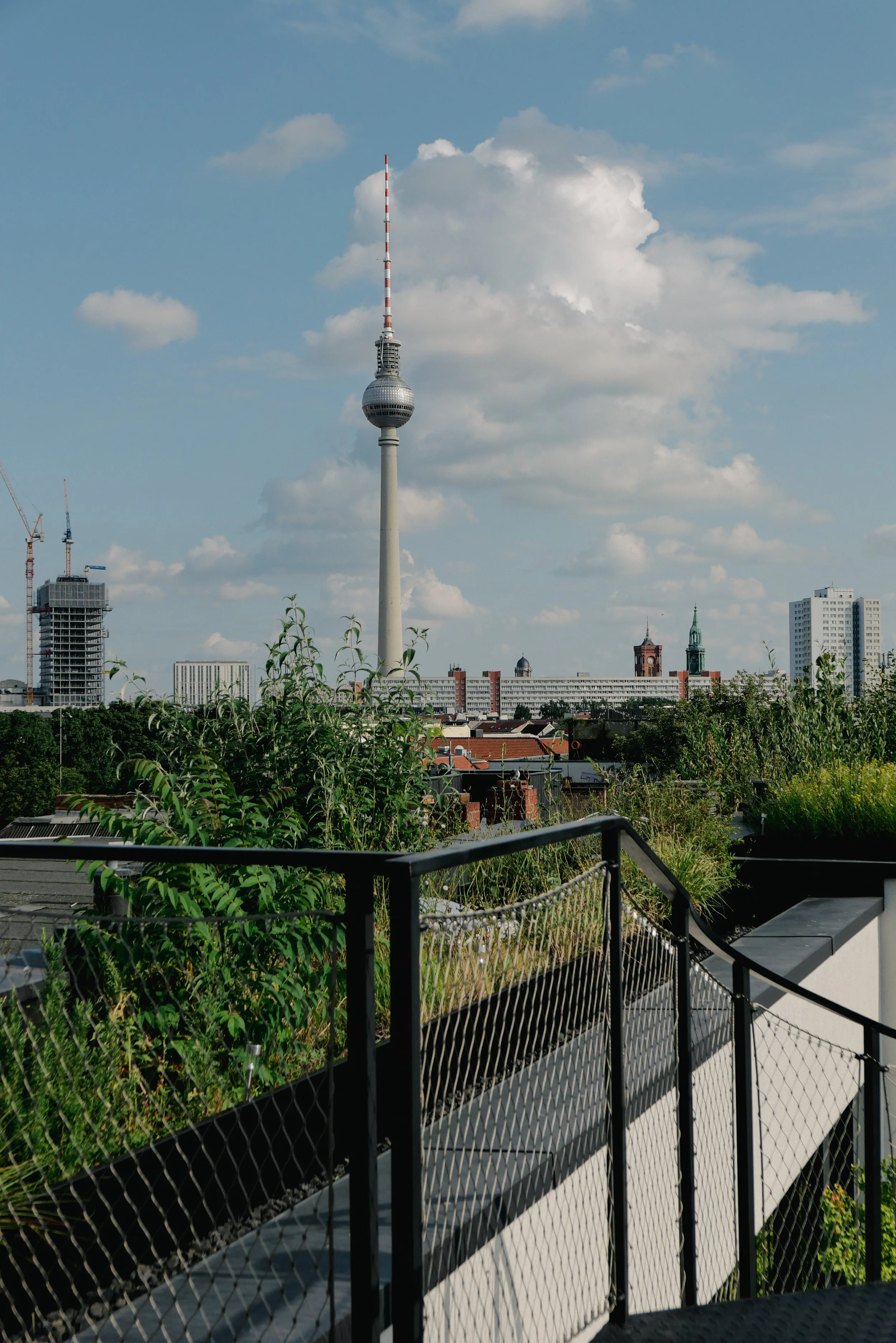 LINIEN72-10.jpg